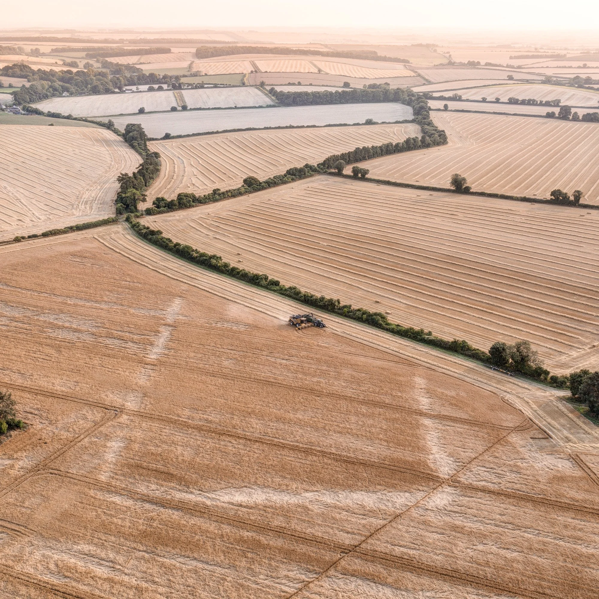 Dorset Cursus, Cranborne Chase