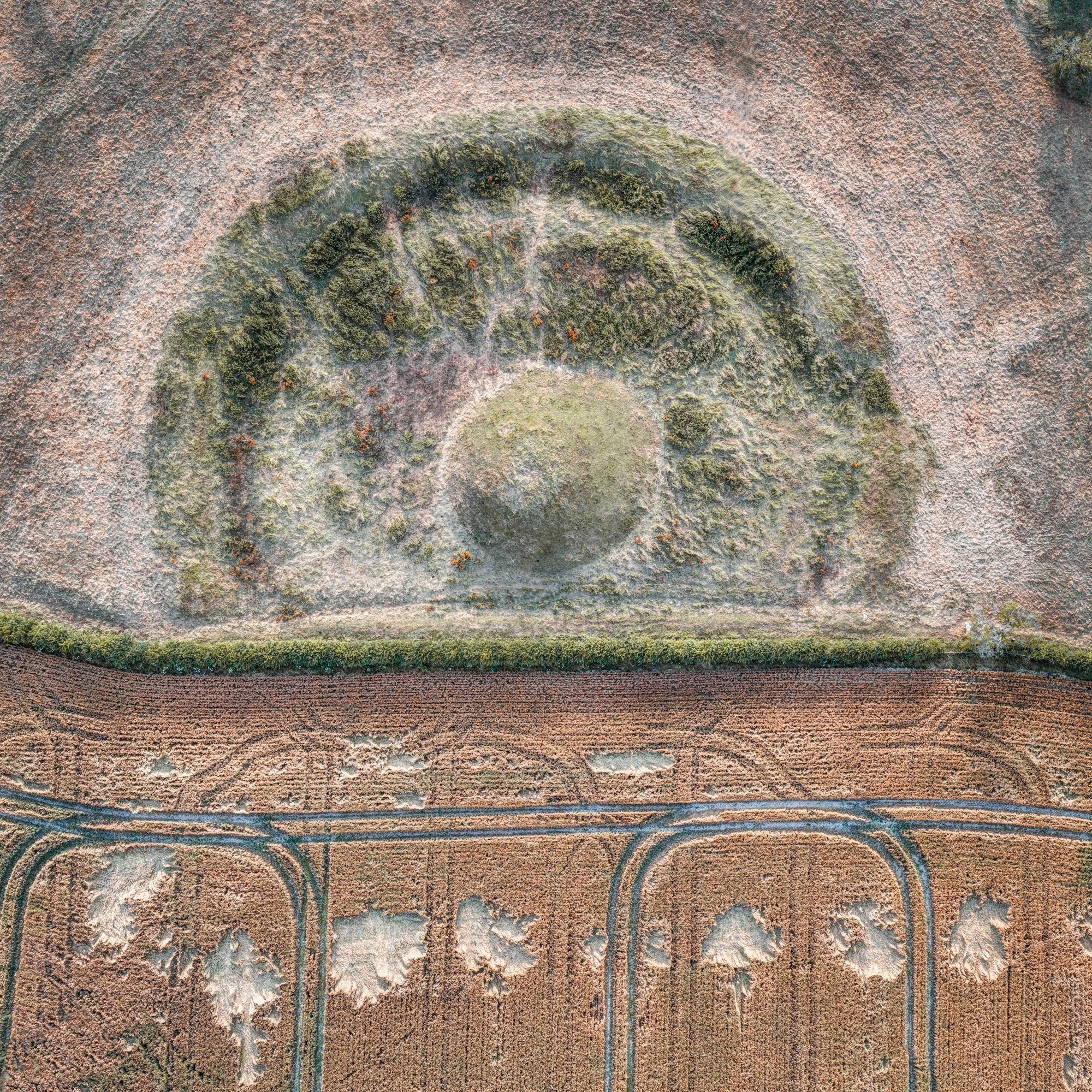 Upwey Barrow, South Dorset Ridgeway