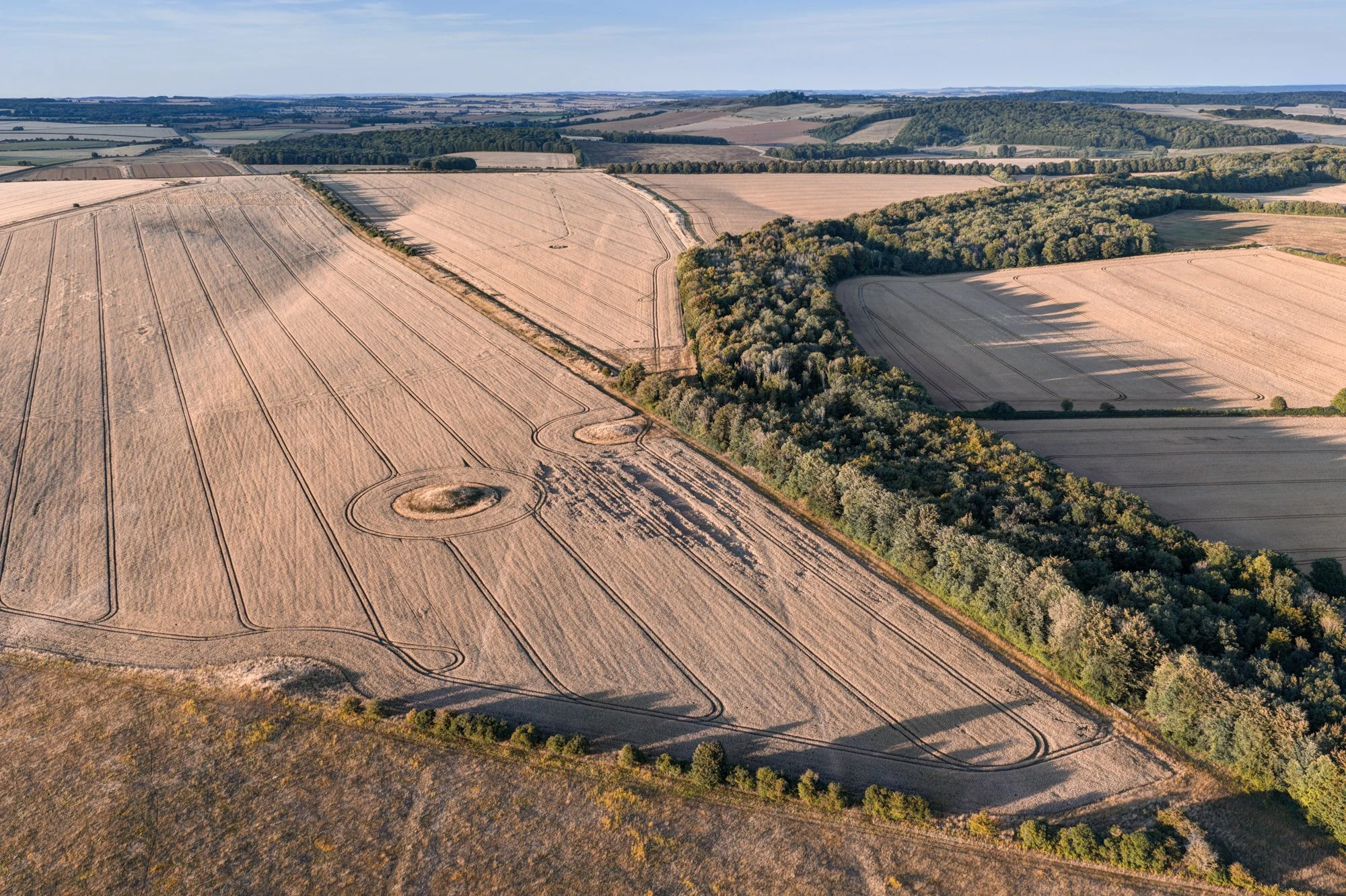 Dorset Cursus on Wyke Down, with Ackling Dyke diagonal