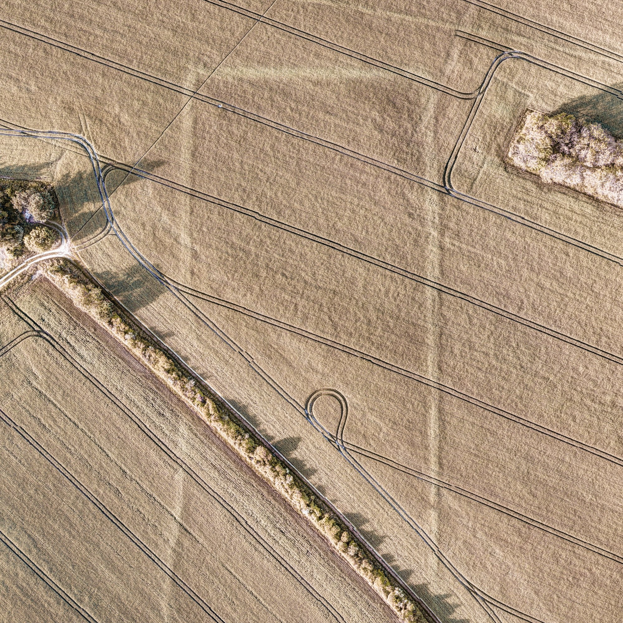 Pentridge Terminal, Dorset Cursus
