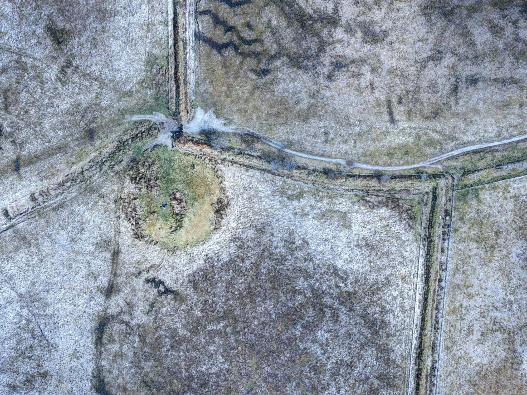 Woodbarrow, Exmoor