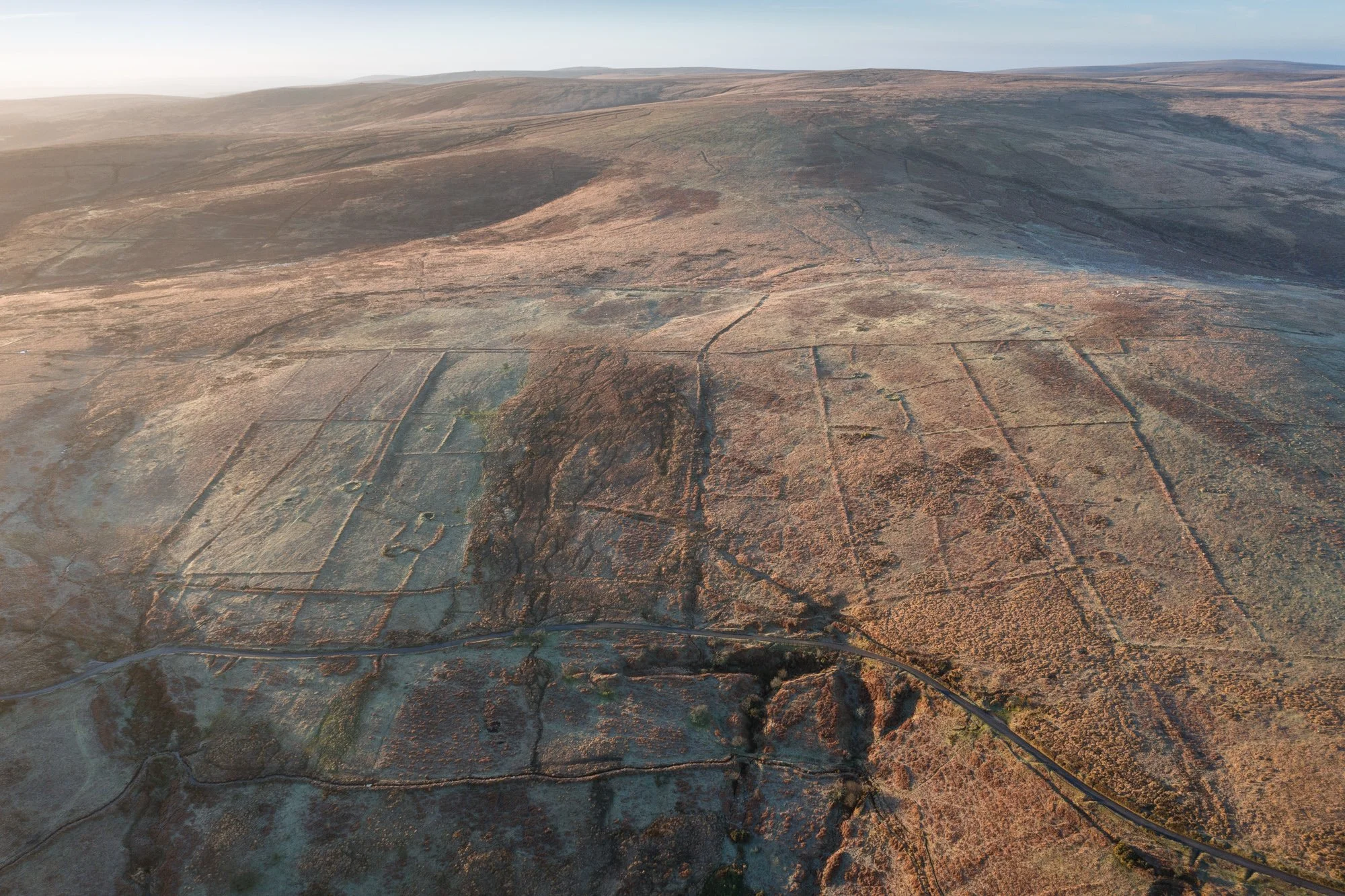 Dartmoor Reaves, Holne Moor