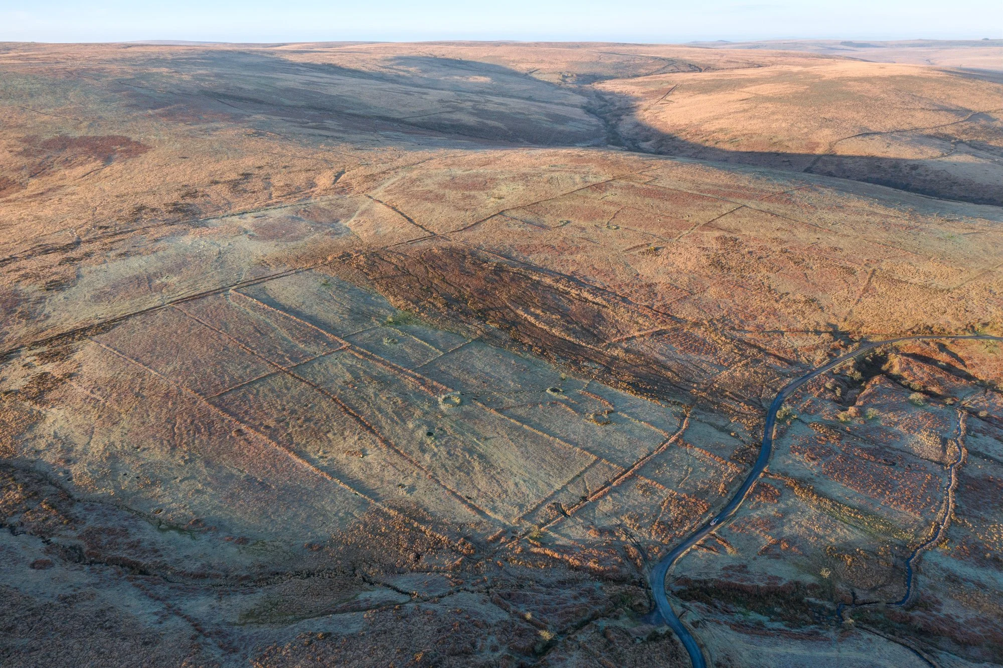 Reaves, Holne Moor