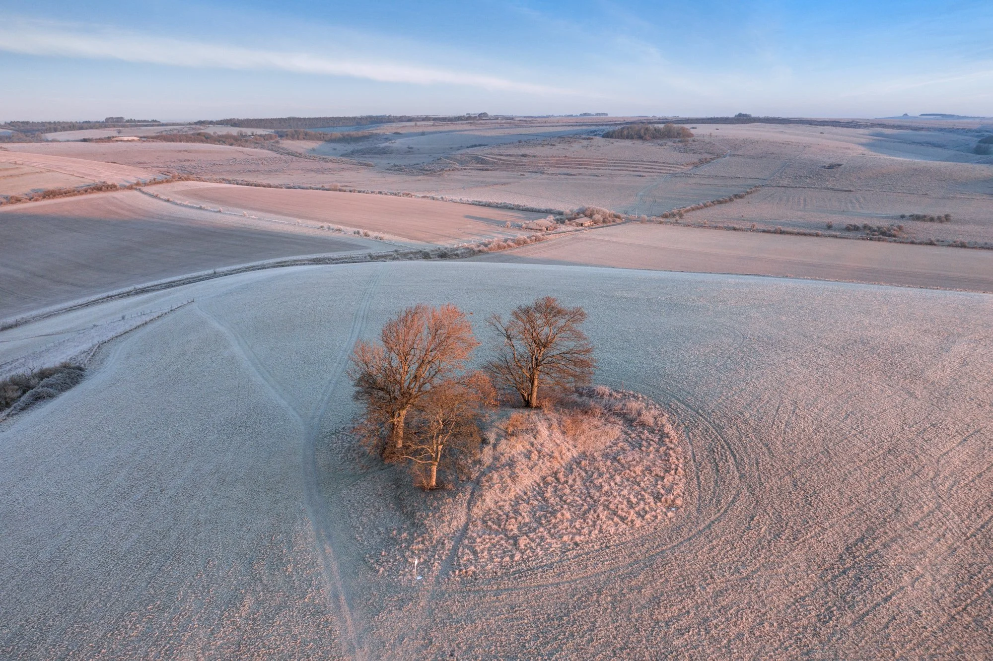 Middle Hill (Shell Barrow), Warminster