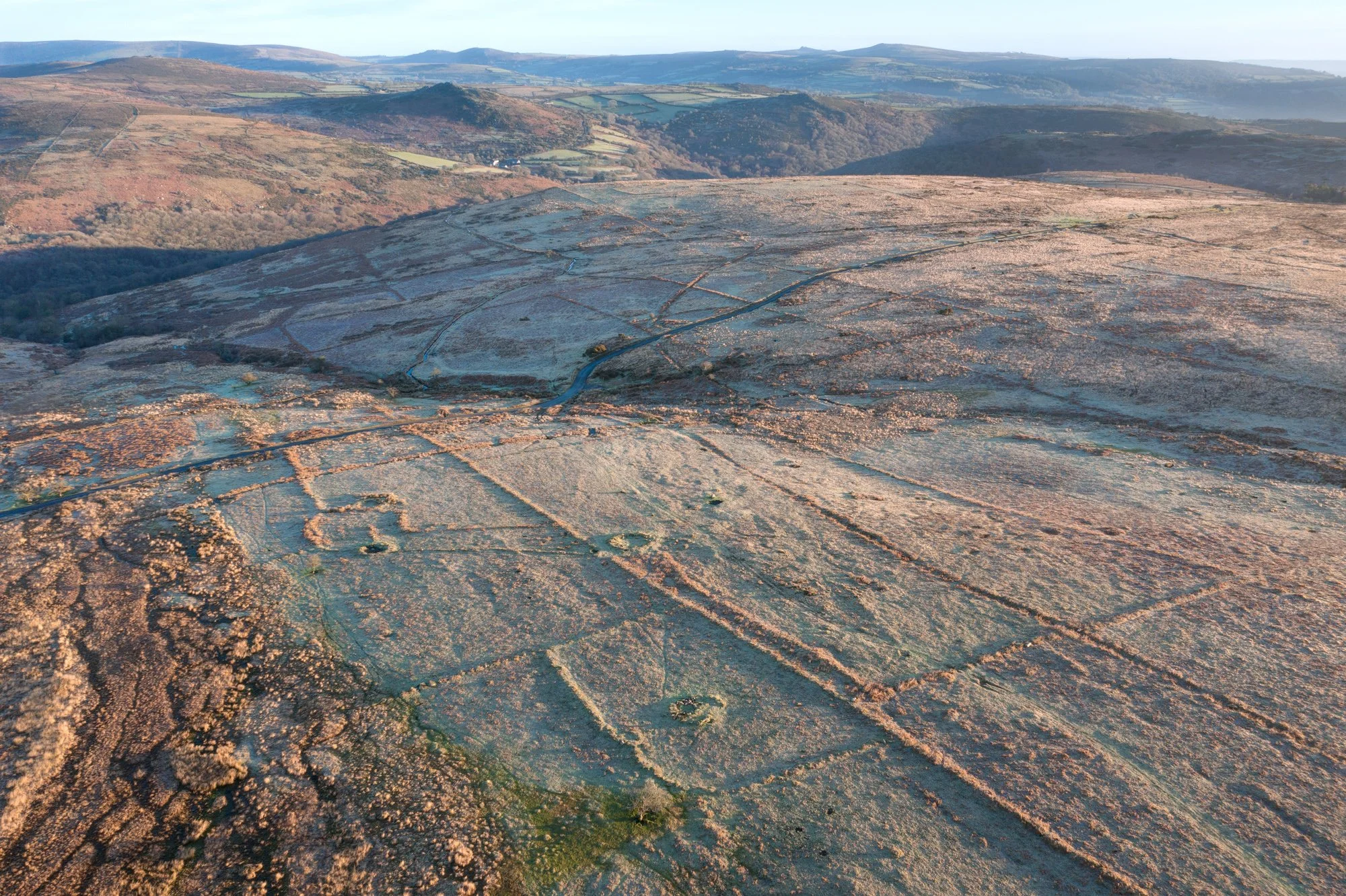 Dartmoor Reaves, Holne Moor