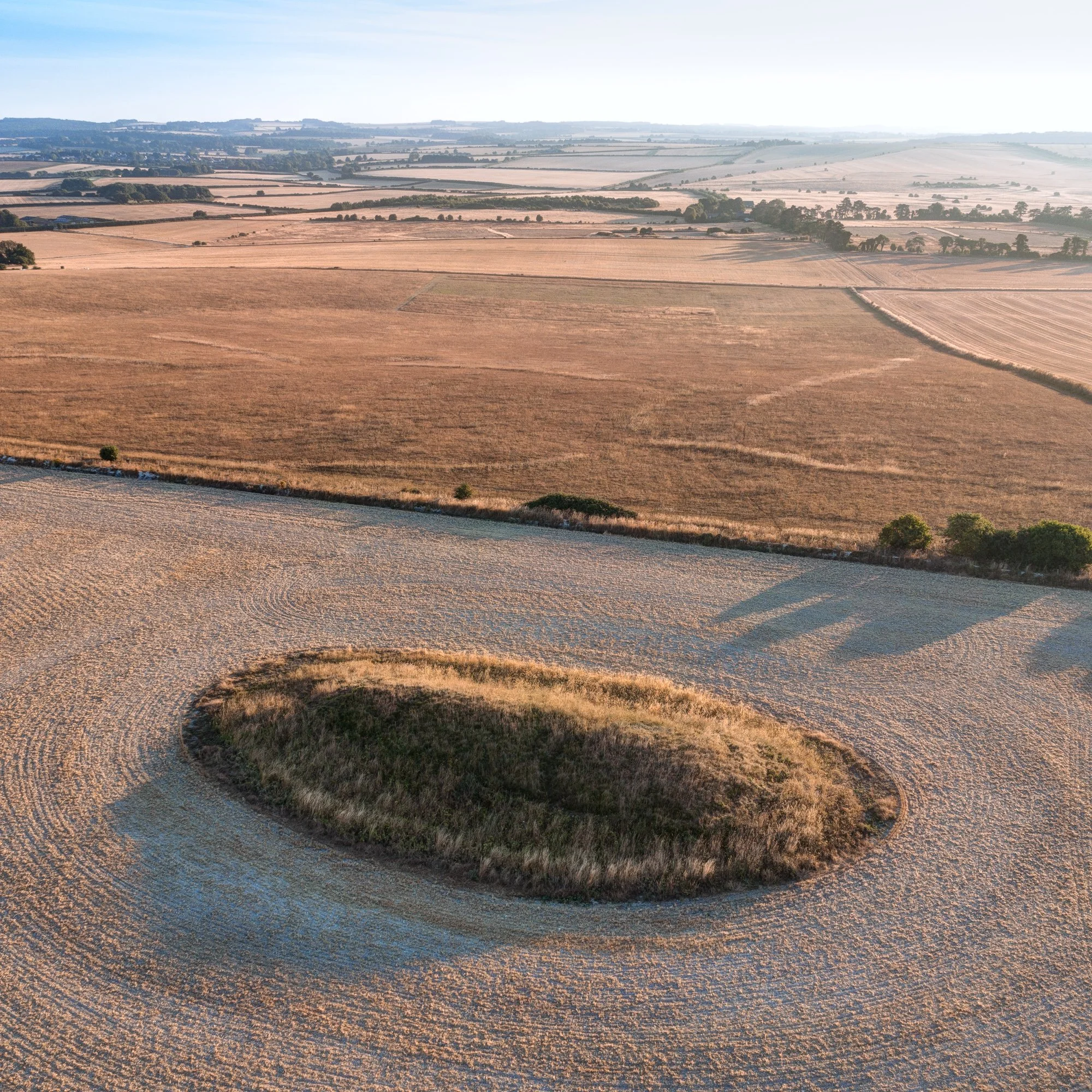 Long barrow, Gussage Down