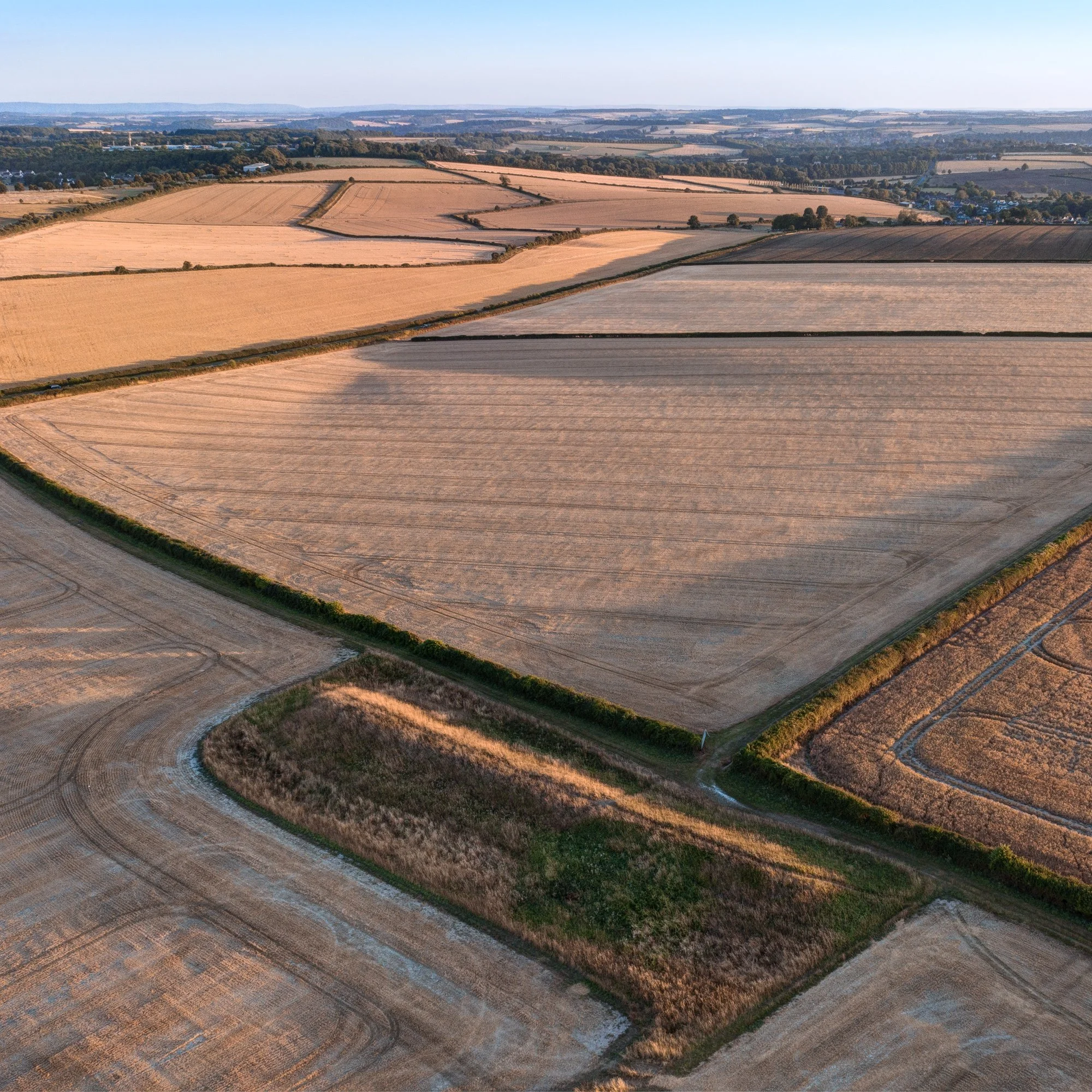 Pimperne Long/Bank Barrow, Cranborne Chase