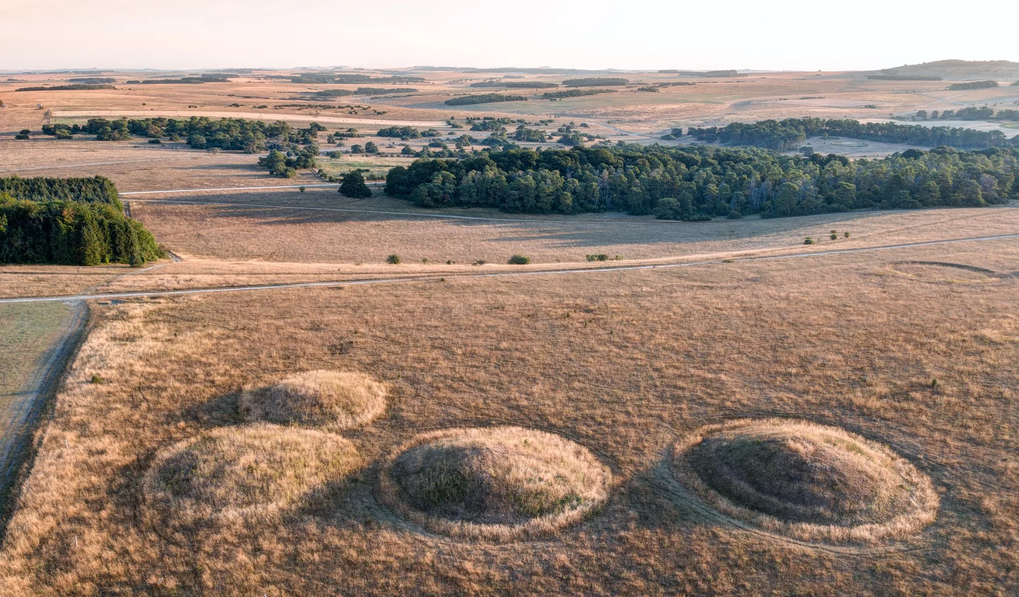 DJI_0964_5_6-2.jpg