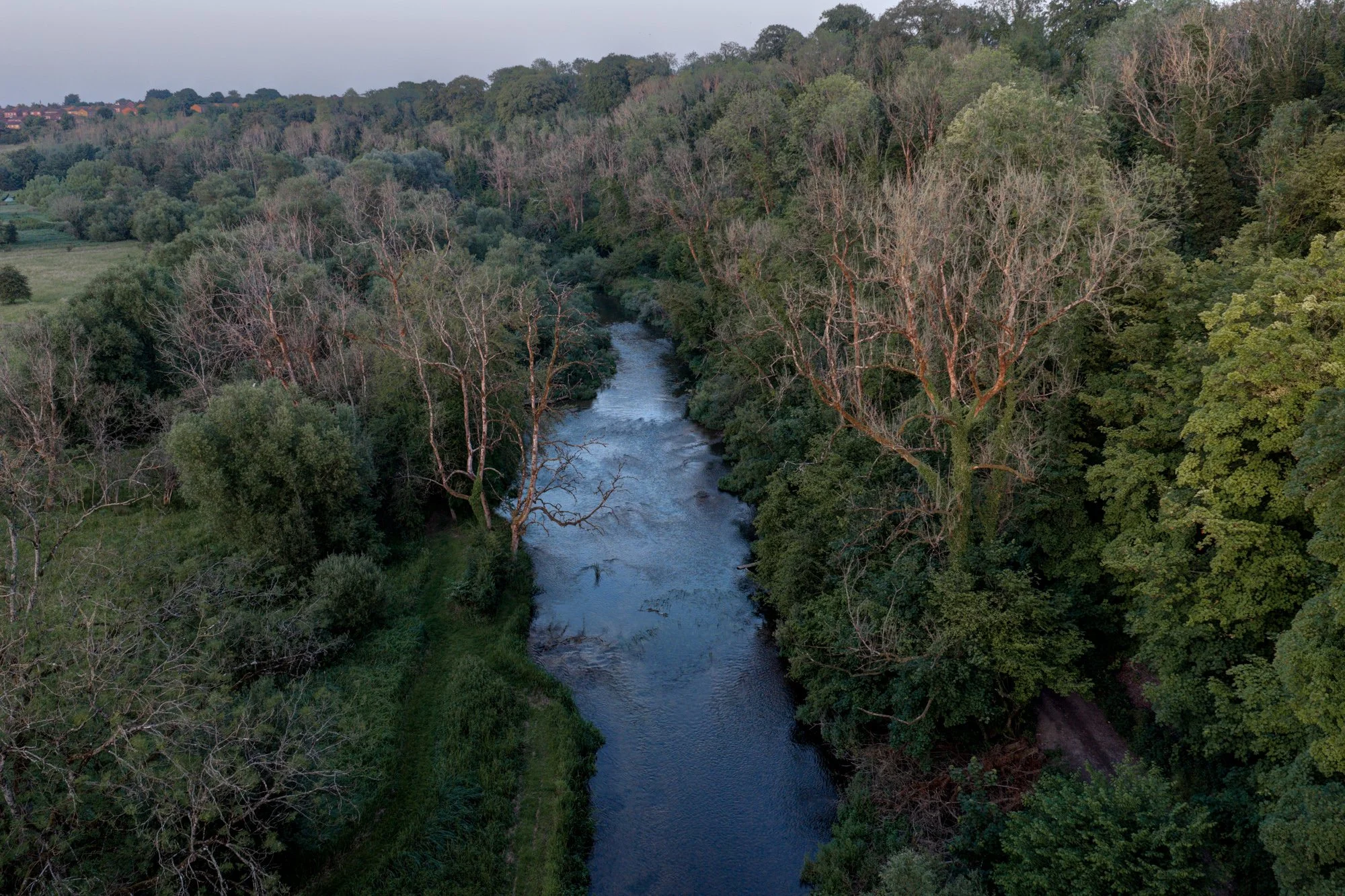 The Wiltshire Avon