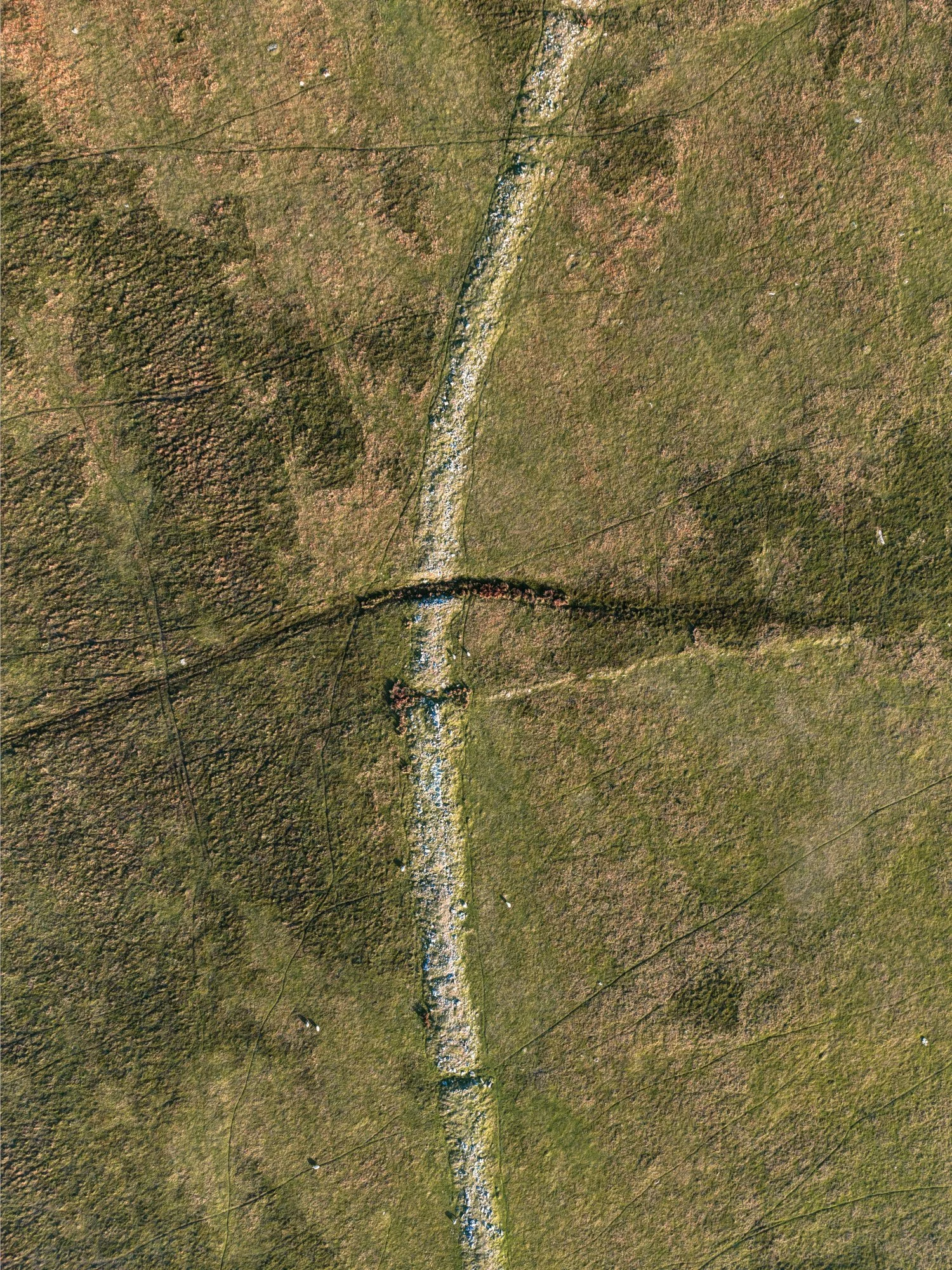 Rough tor long cairn