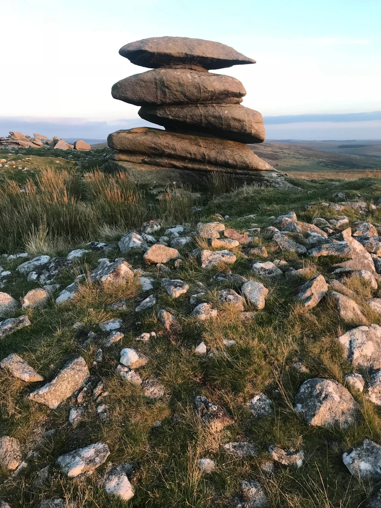 Showery Tor