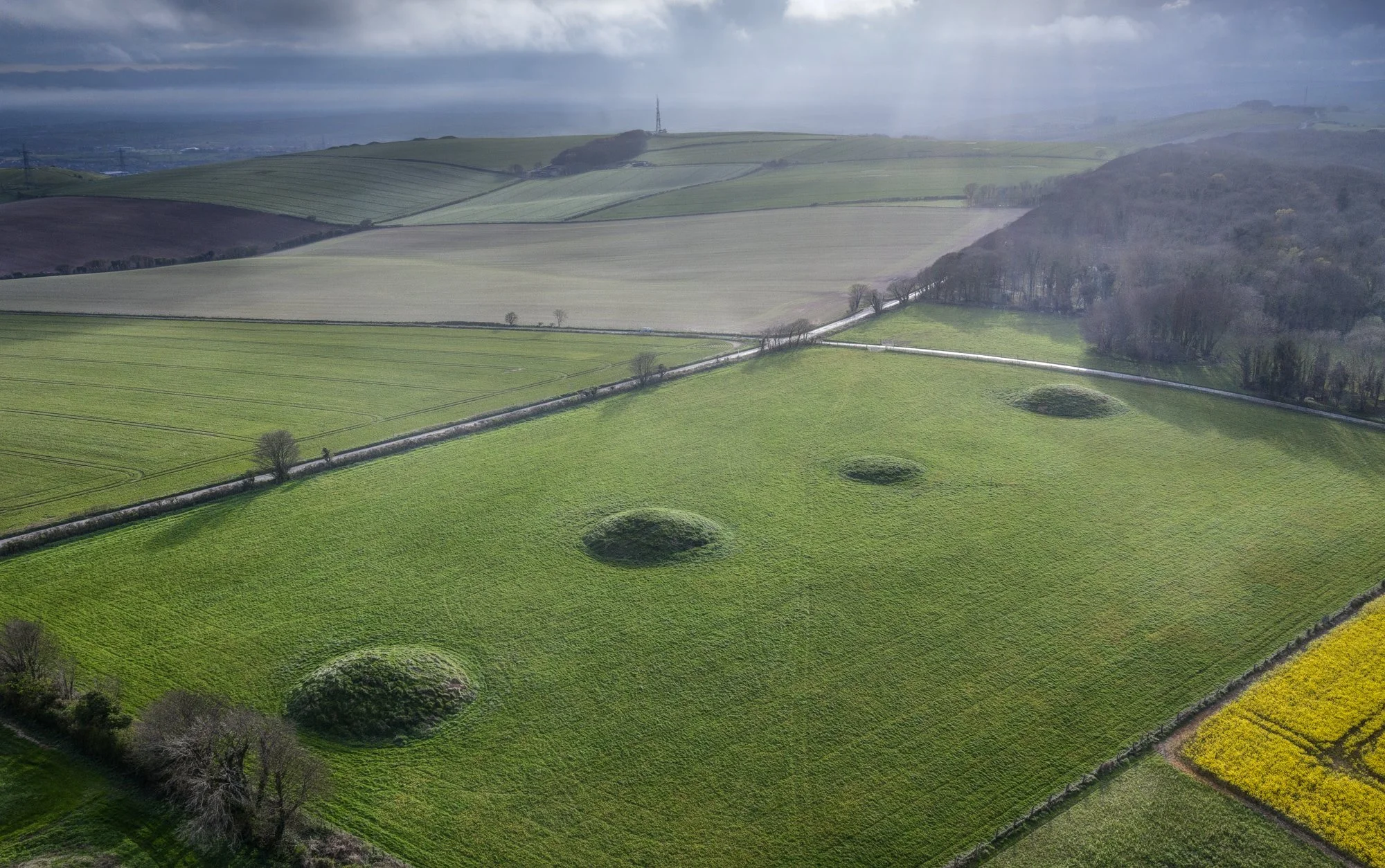 Big barrows at Broadmayne, nr Culliford Tree