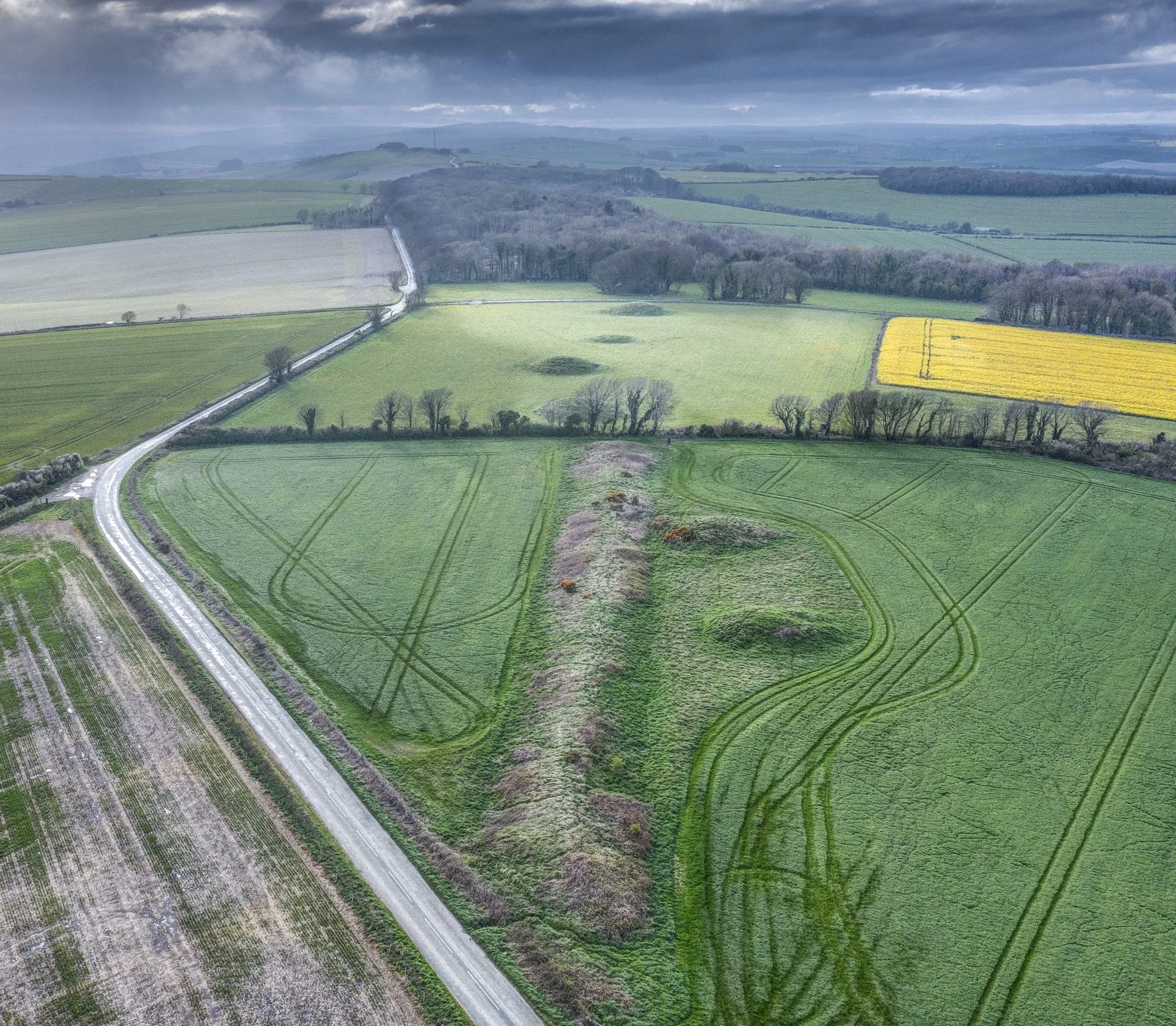 The Broadmayne Bank Barrow, SDR