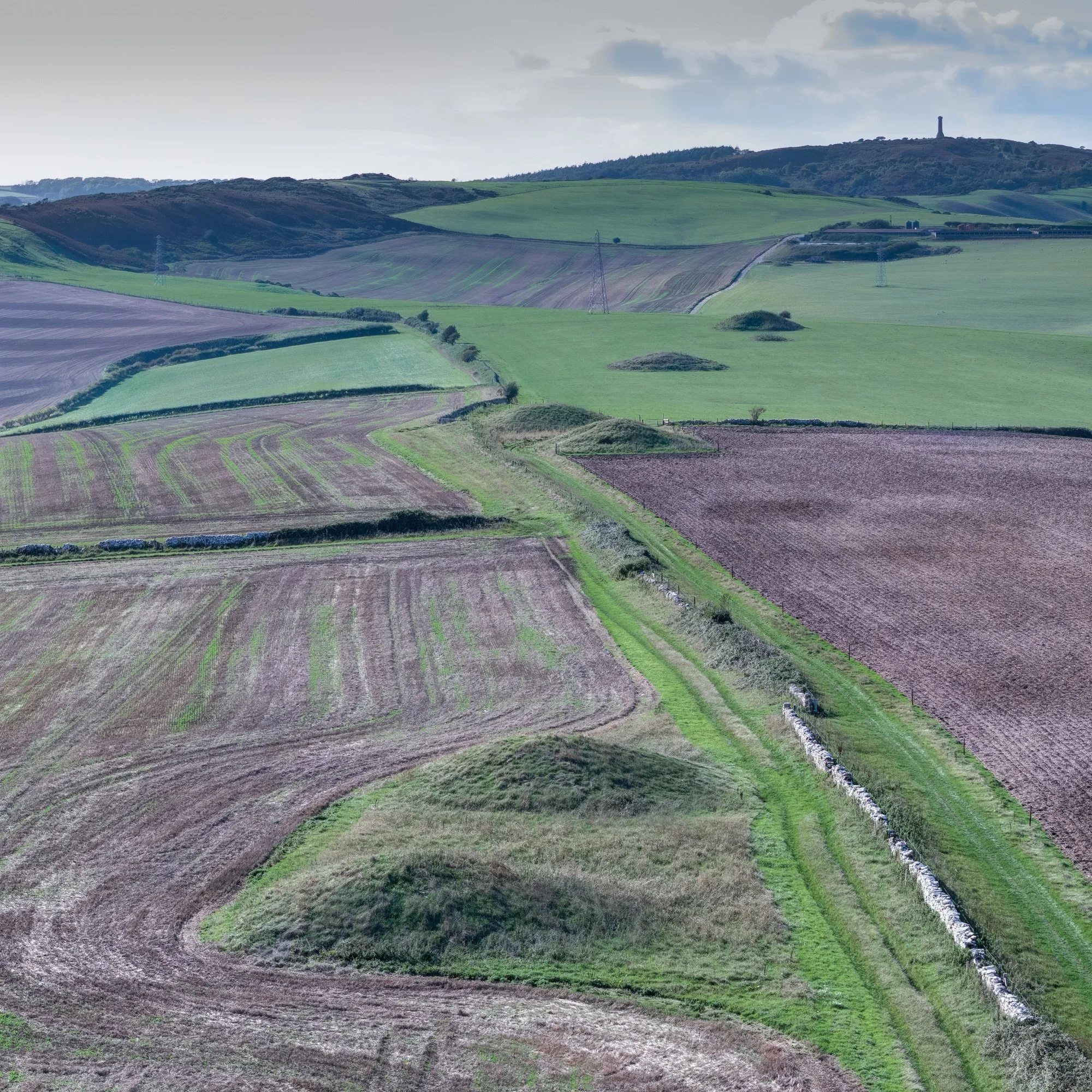 Ewleaze Farm Barrows, with Bronkham Hill & Hardy Monument in background