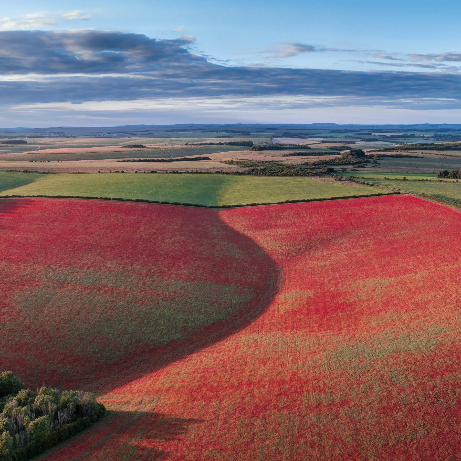 DJI_0108_09_10 Panorama.jpg