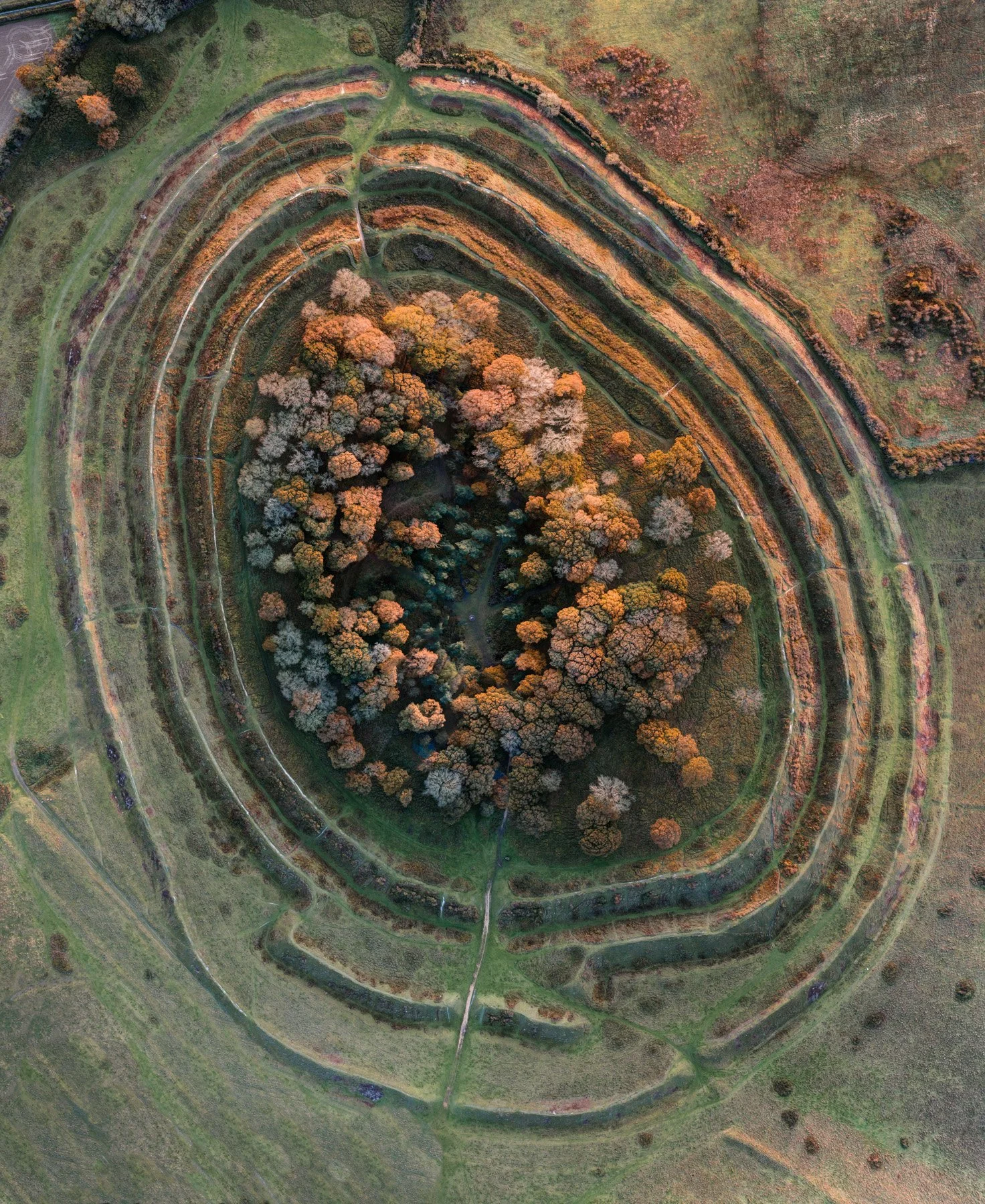 Badbury Rings TD_Ps_V2.jpg