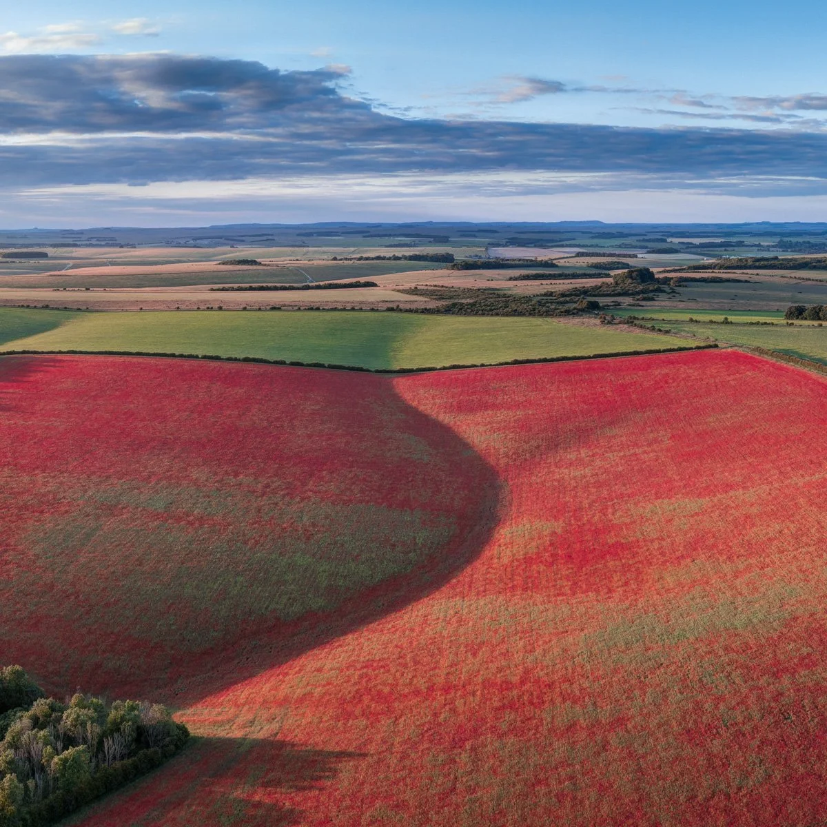 DJI_0108_09_10 Panorama.jpg