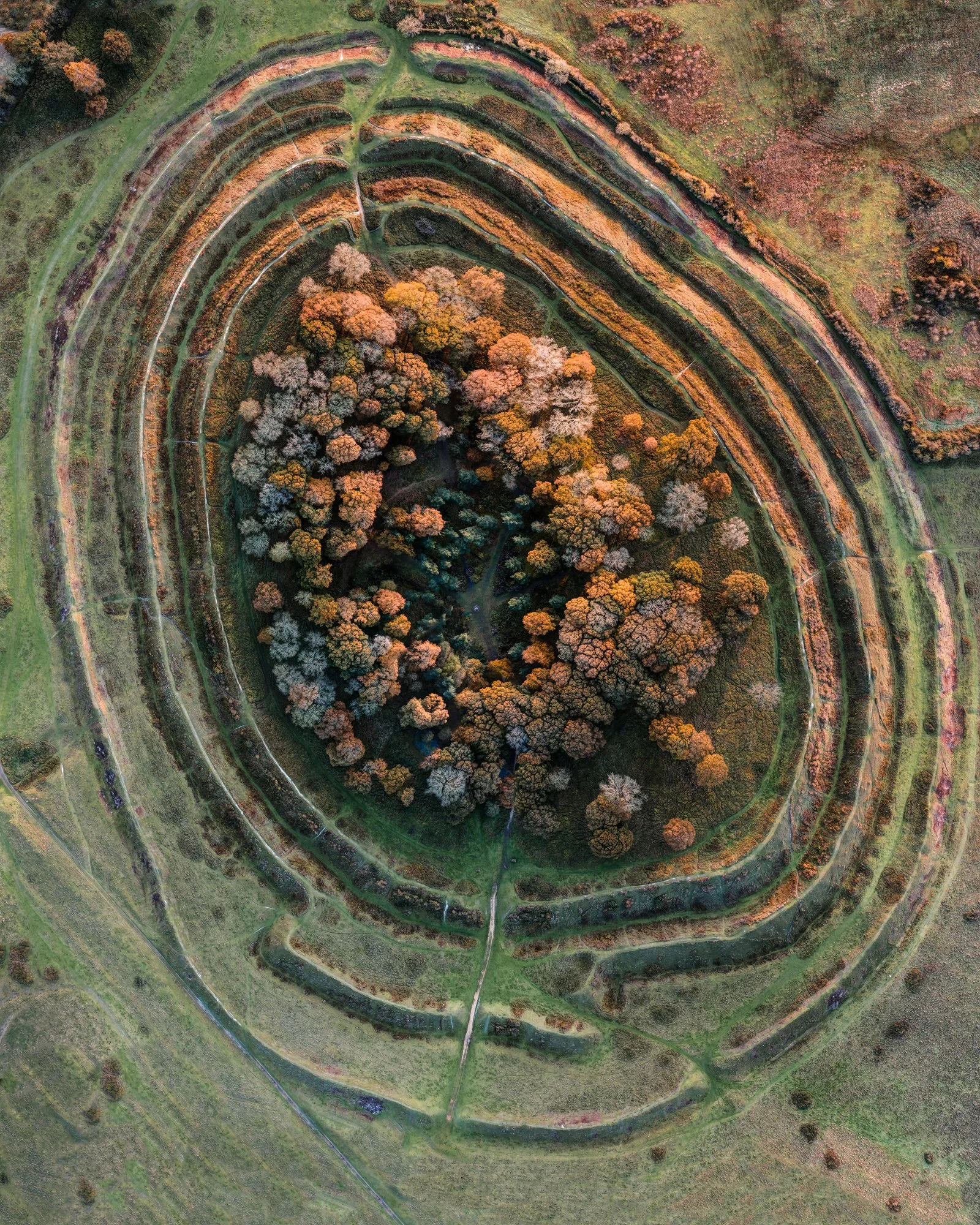 Badbury Rings A5_PORTRAIT.jpg