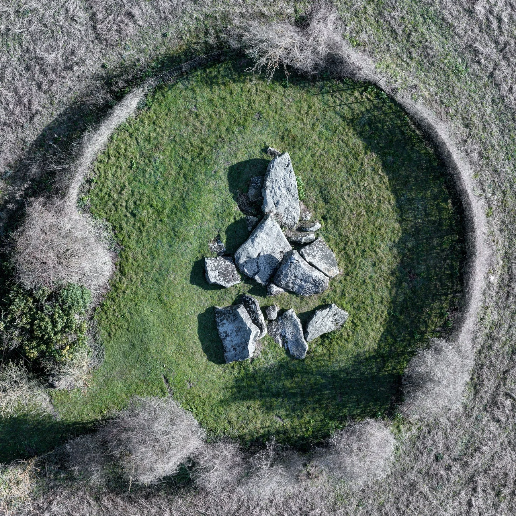 DJI_20260305085643_0862_D_3_D_4_D.jpg (Copy)