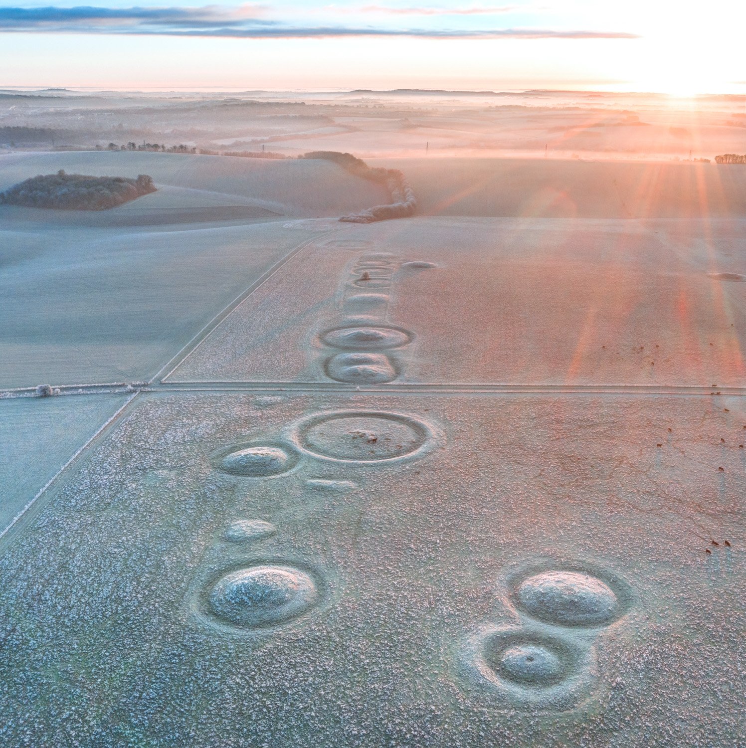 DJI_0312_3_4.jpg