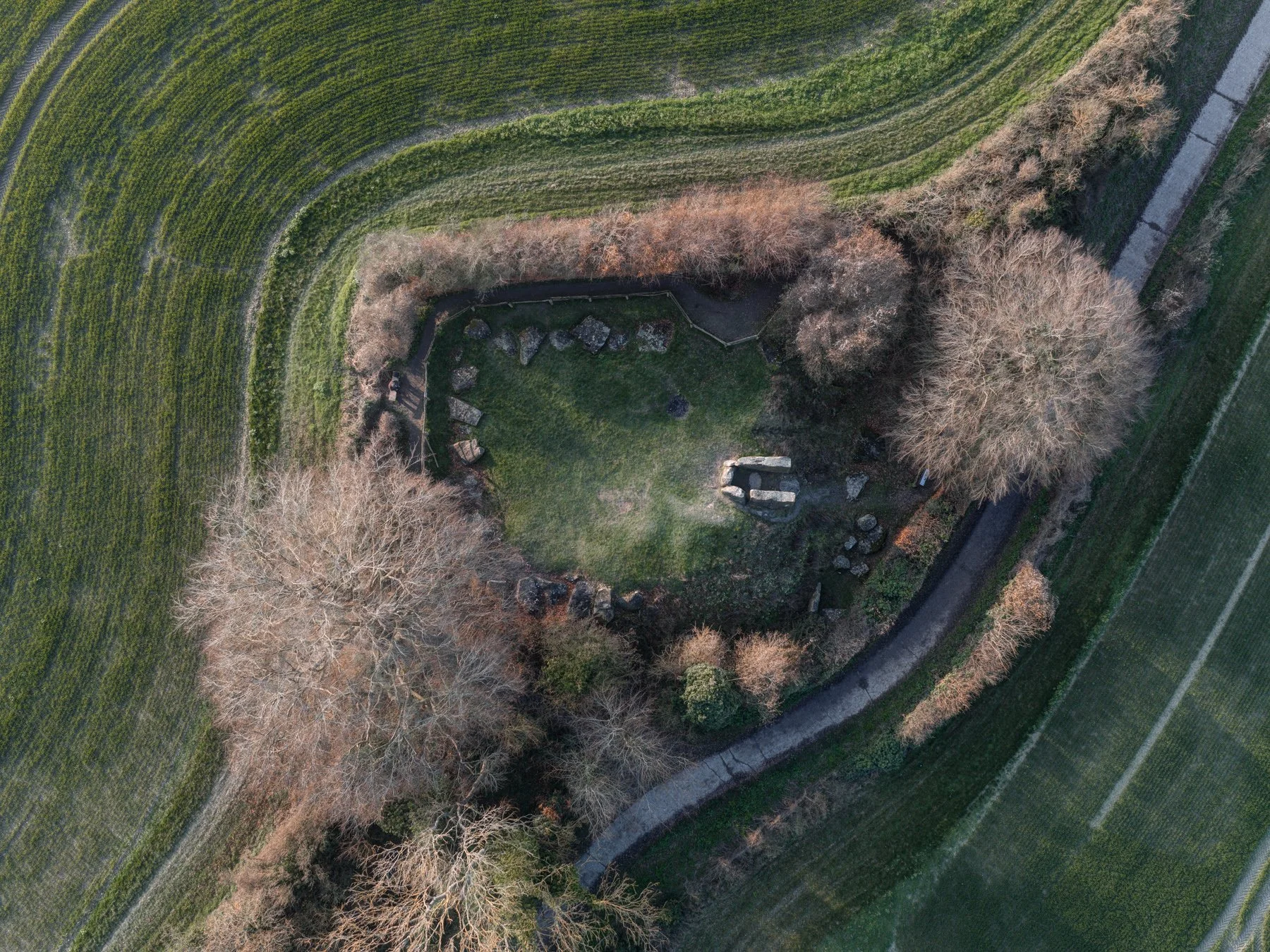 DJI_20260304155755_0823_D_4_D_5_D.jpg (Copy)