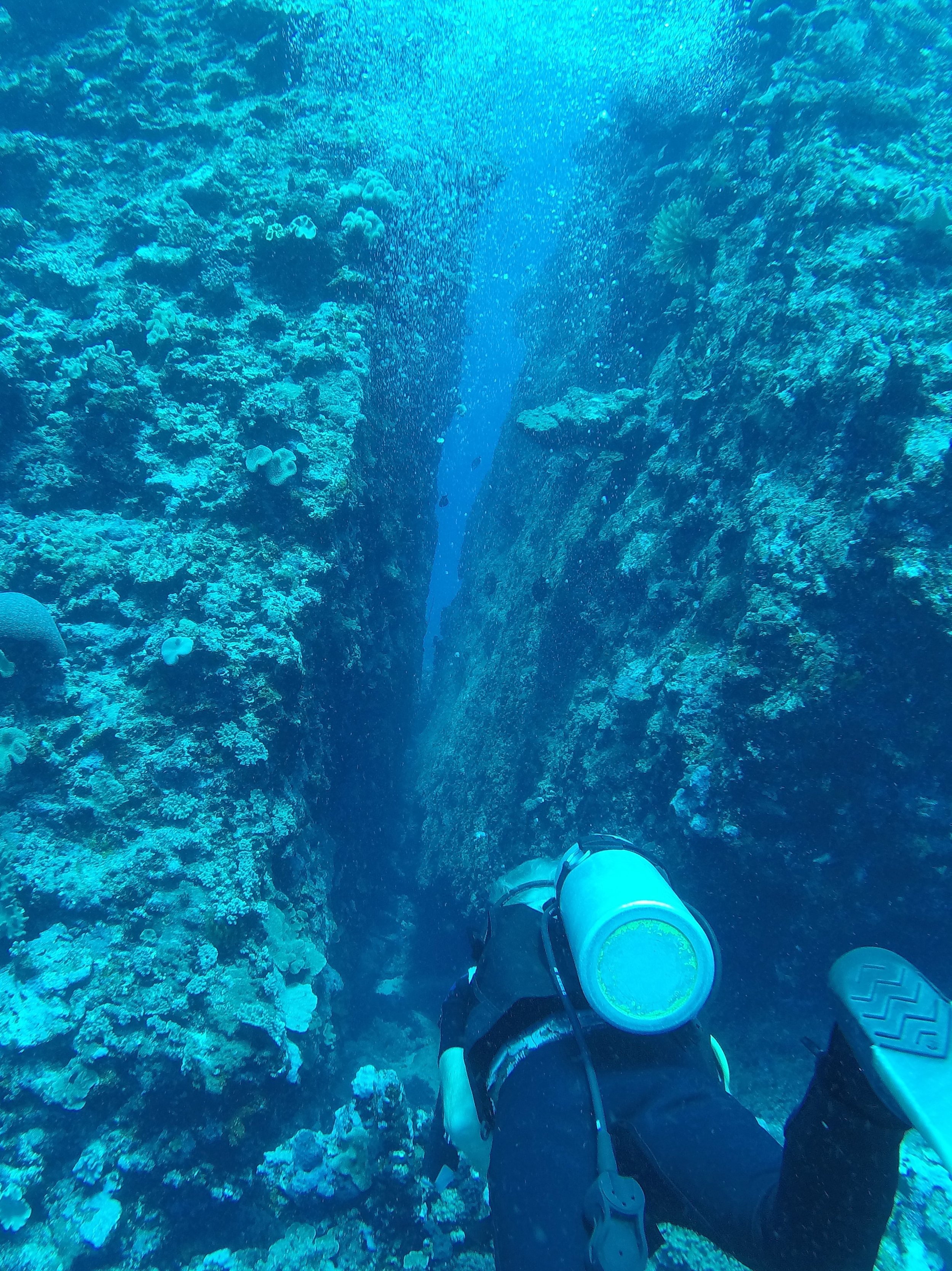 Tonga dive 1 100.JPG