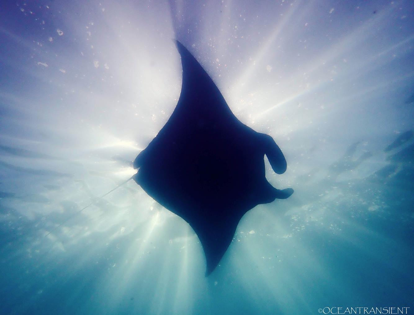 ray3.jpg