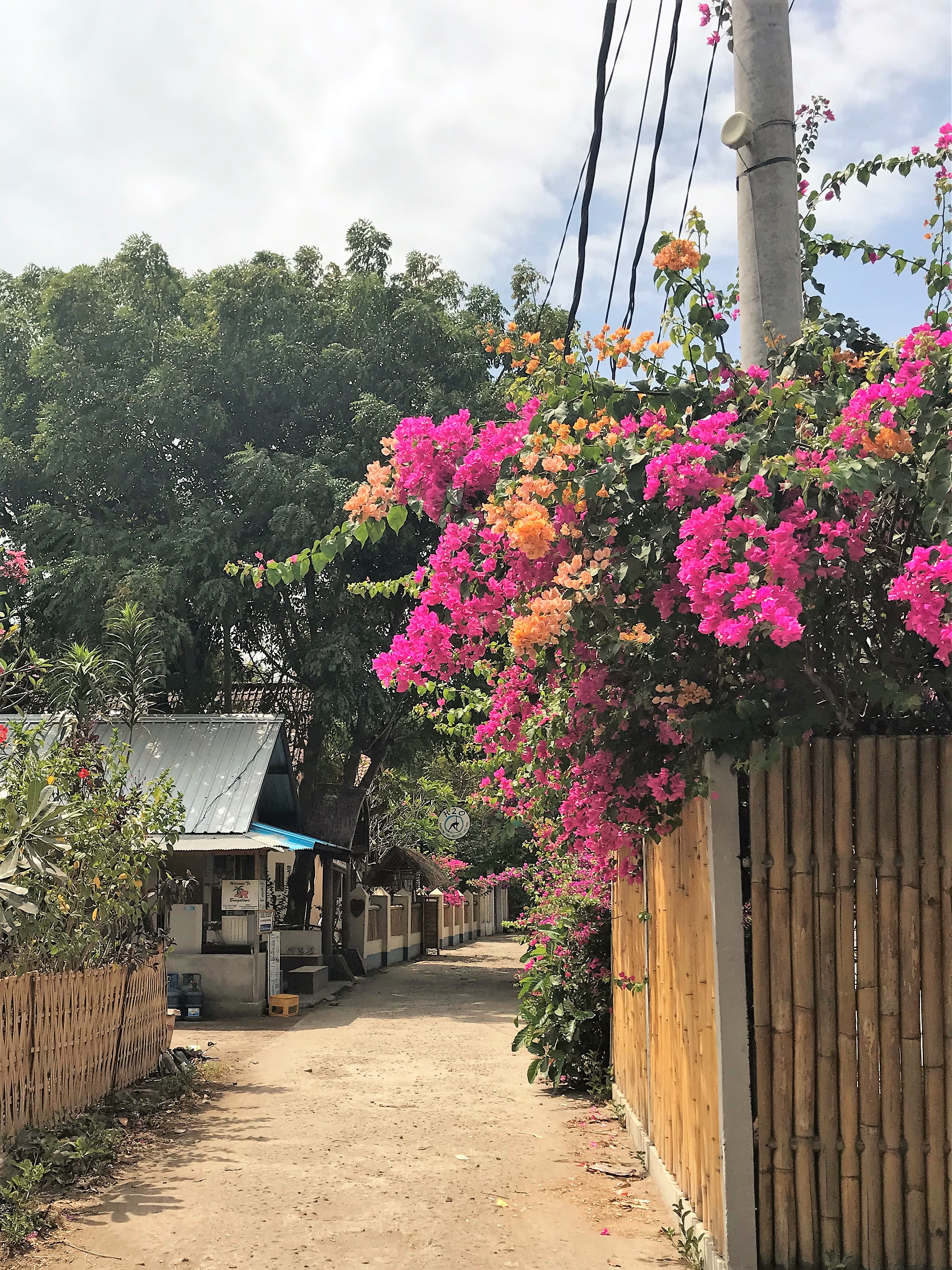 gili air 5.jpg