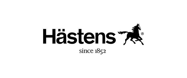 Mind-Mojo-Client-Logos-v02-_0000_hastens-logo-vector.jpg