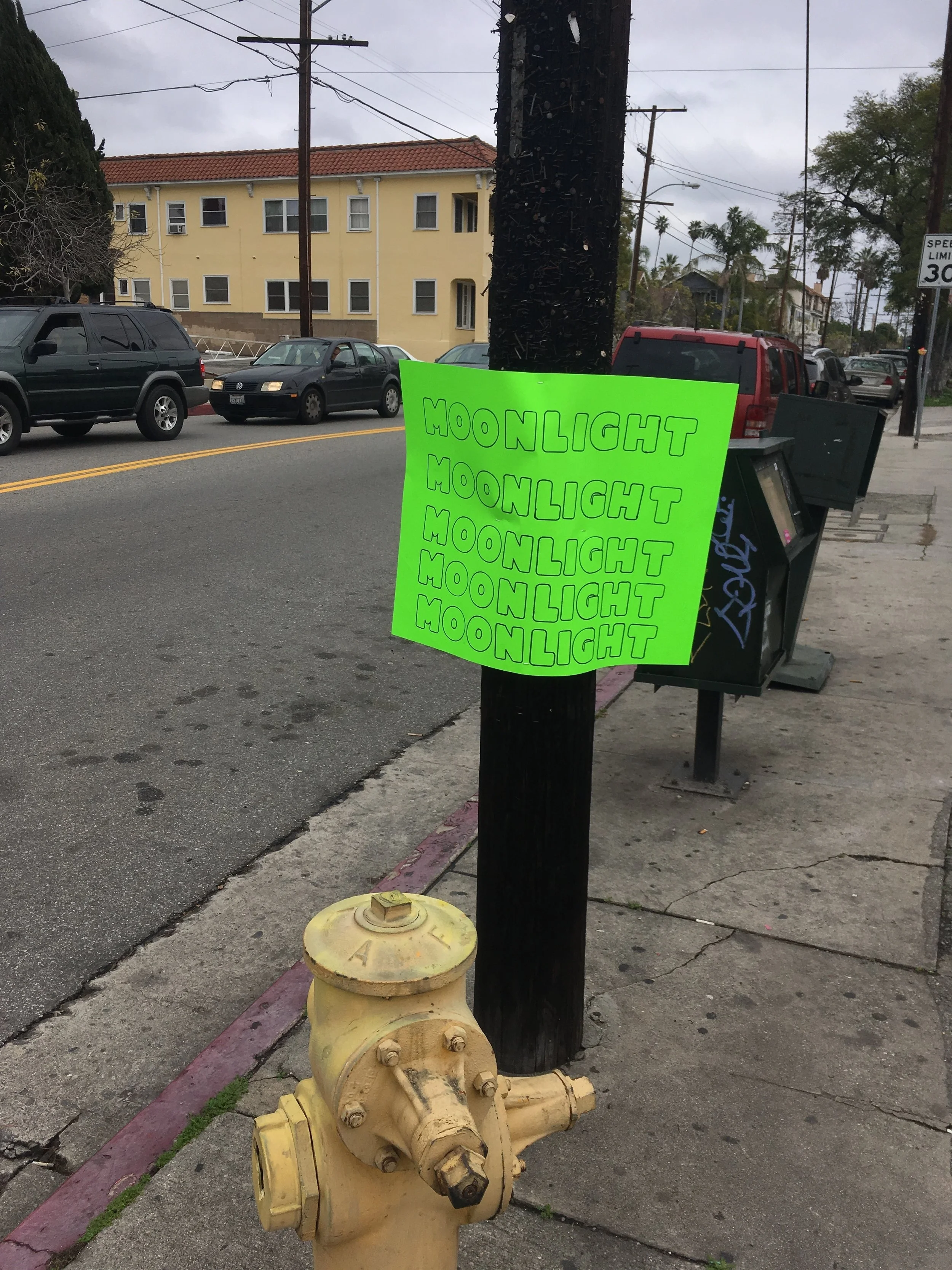  In 2017 I put up posters in Hollywood and Los Feliz supporting “Moonlight” for Best Picture. 