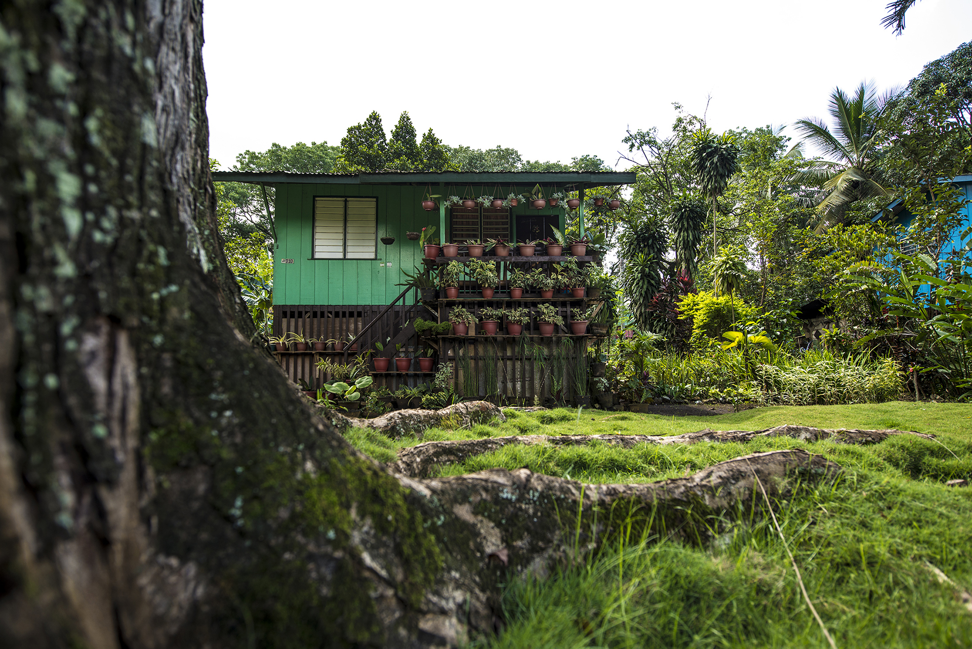 Camp Phillips; Welcome to PUROK, Sampaguitav