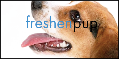 Freshen Pup includes brush out + comb out - $20 + up / Facetrim $15 / Breath Freshen $10