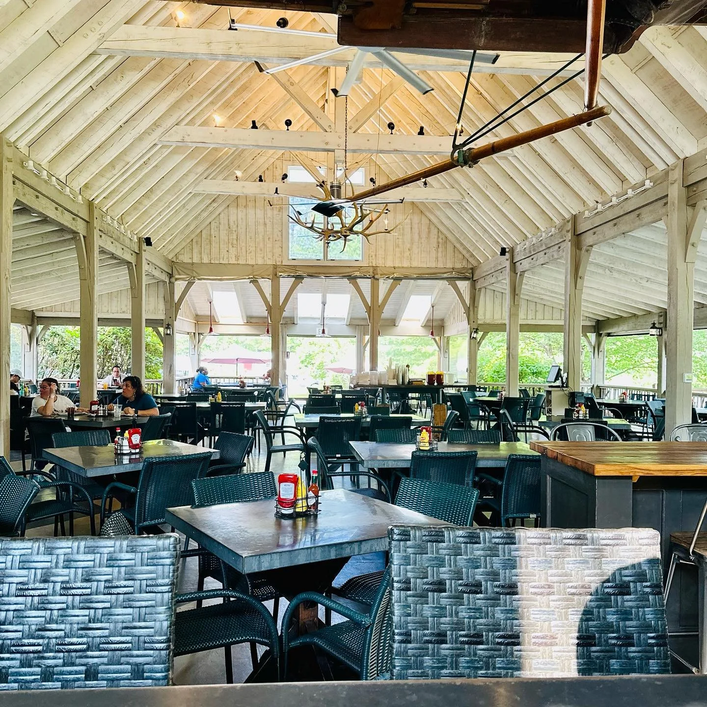 [image] - 4248941.jpeg