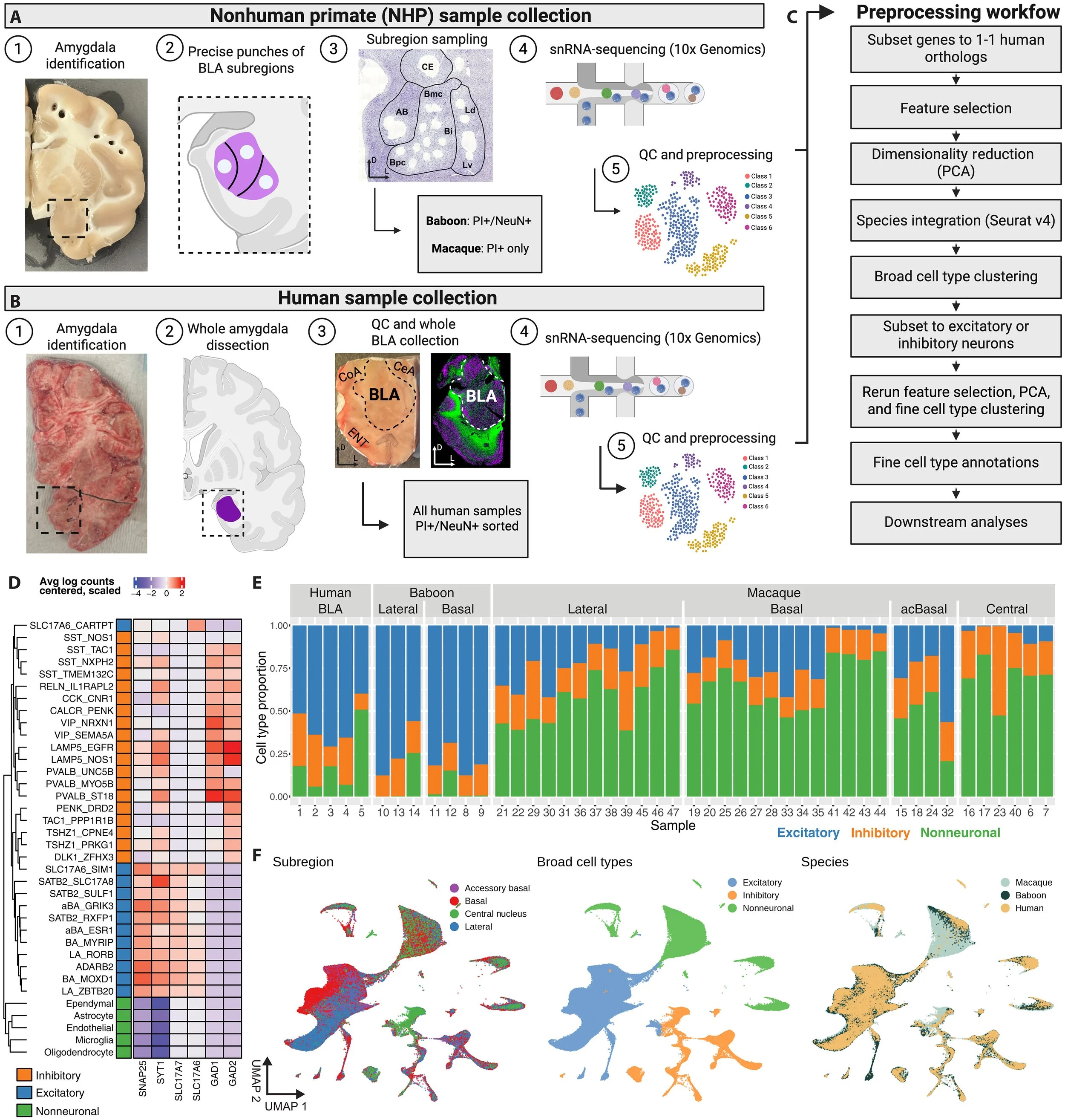 Fig 1 from Totty et al. (2025)
