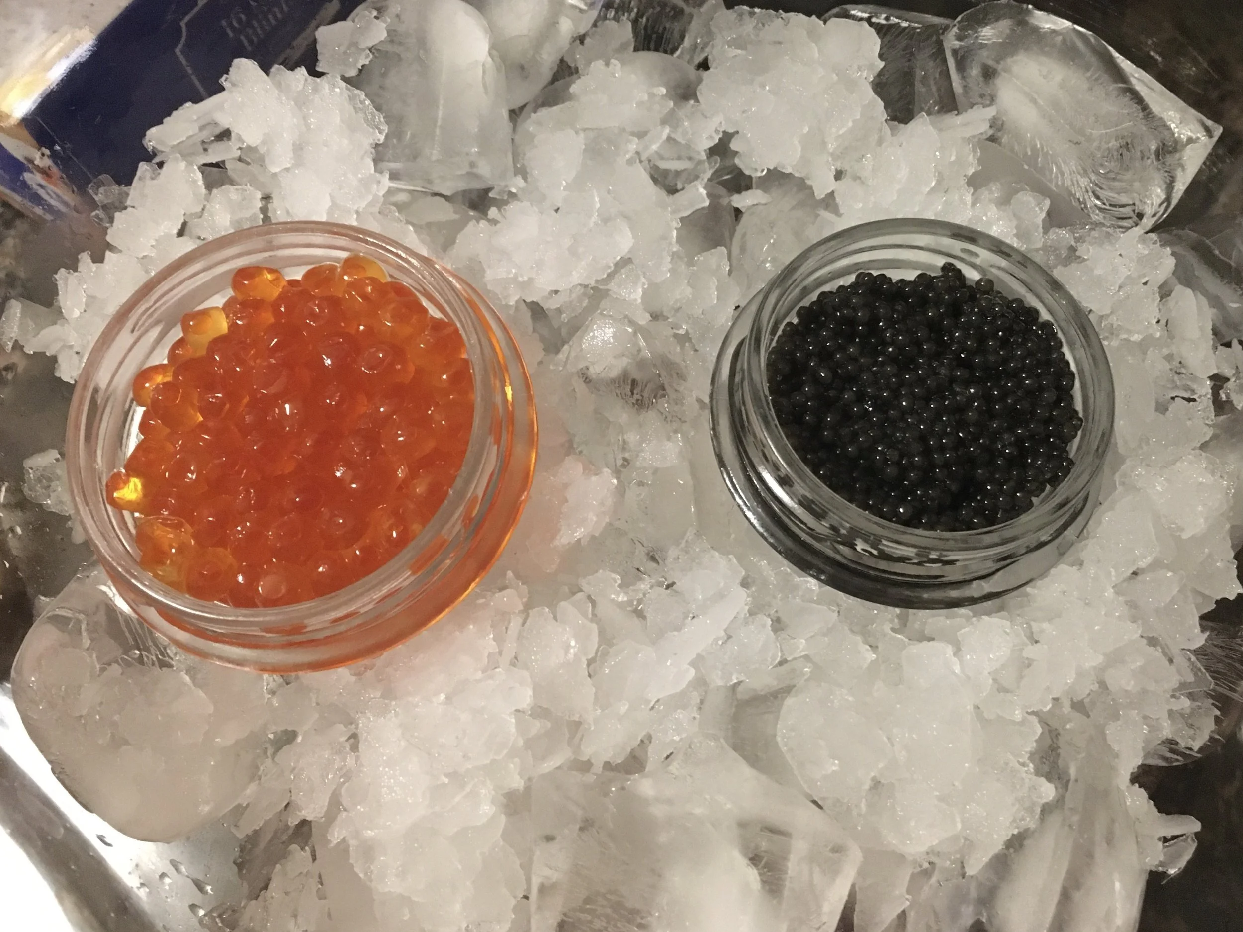 Costa Lab celebrates the NOA for its first R01 in style with a caviar tasting.