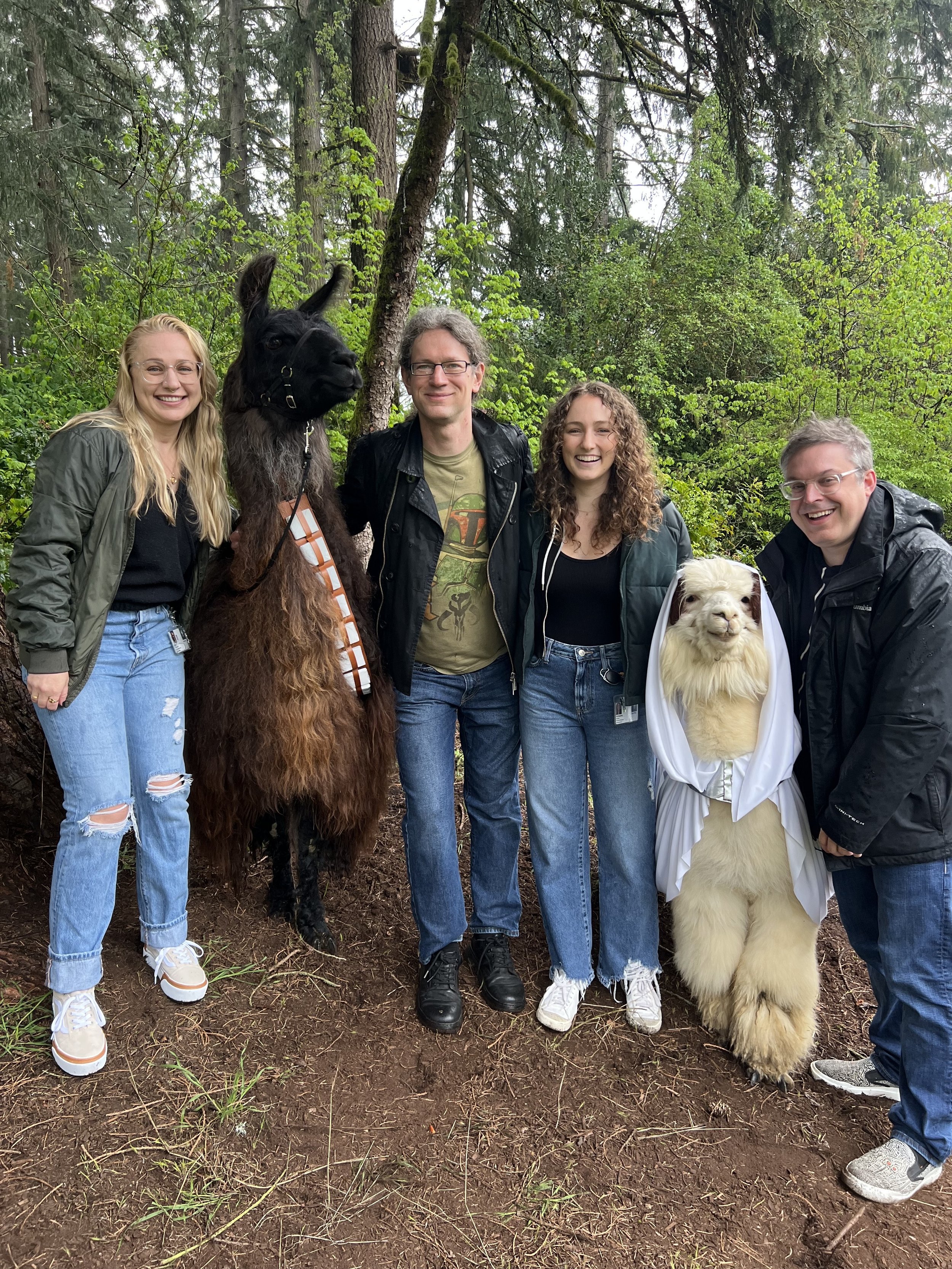 Costa lab experiences some llama therapy on May the Fourth be with you.