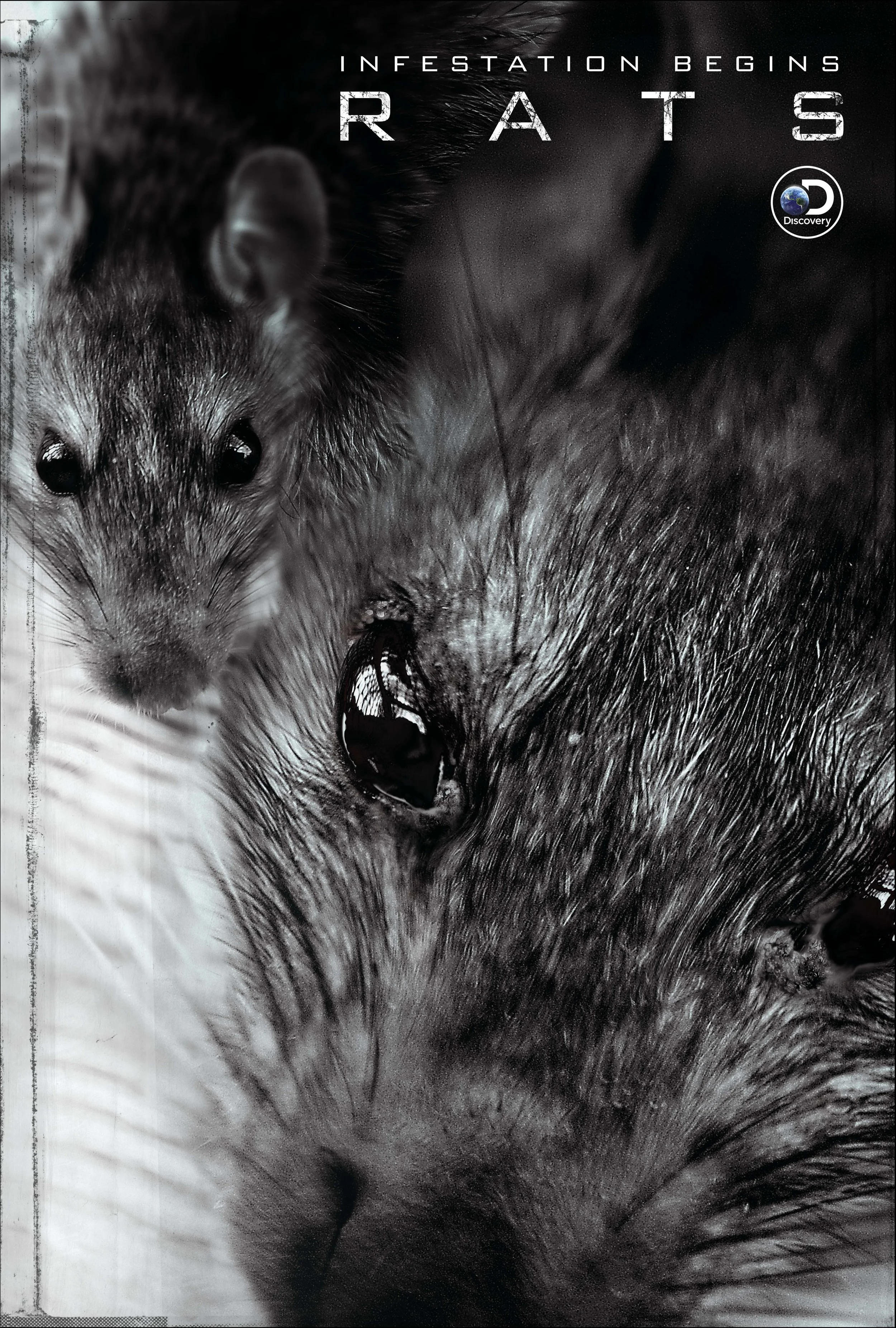 RATS_RndA_JD02.jpg