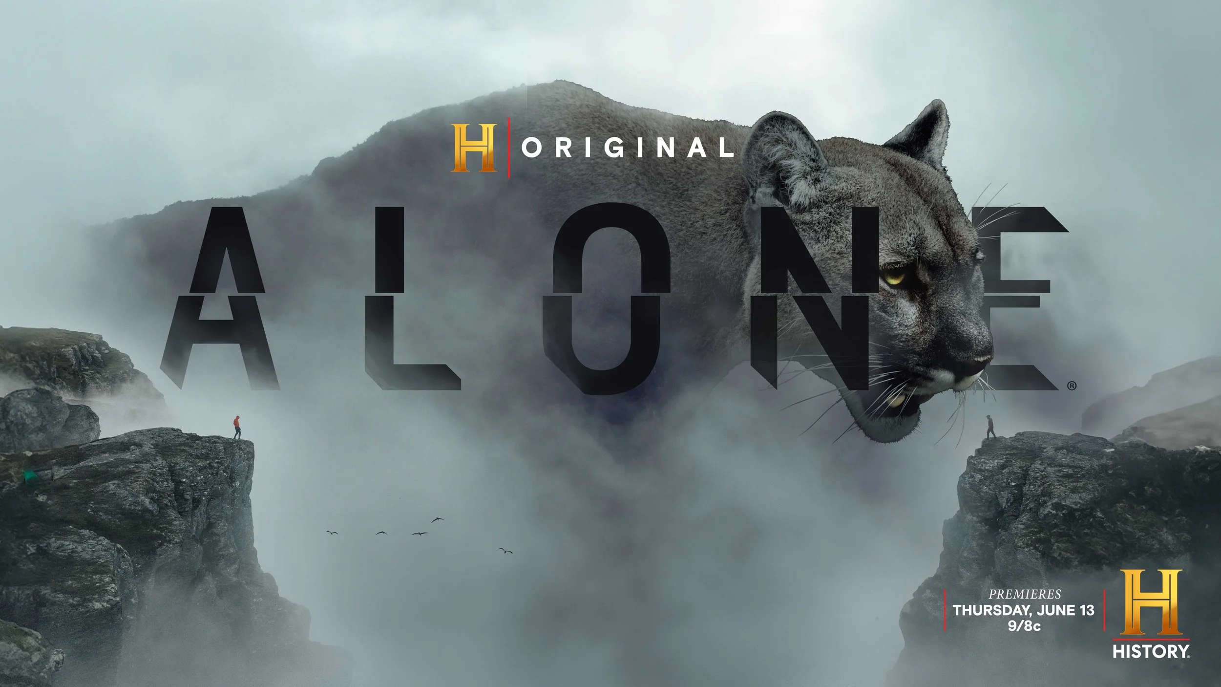 AE_ALONE_SA_Horizontal_FIN_JD019v3.jpg