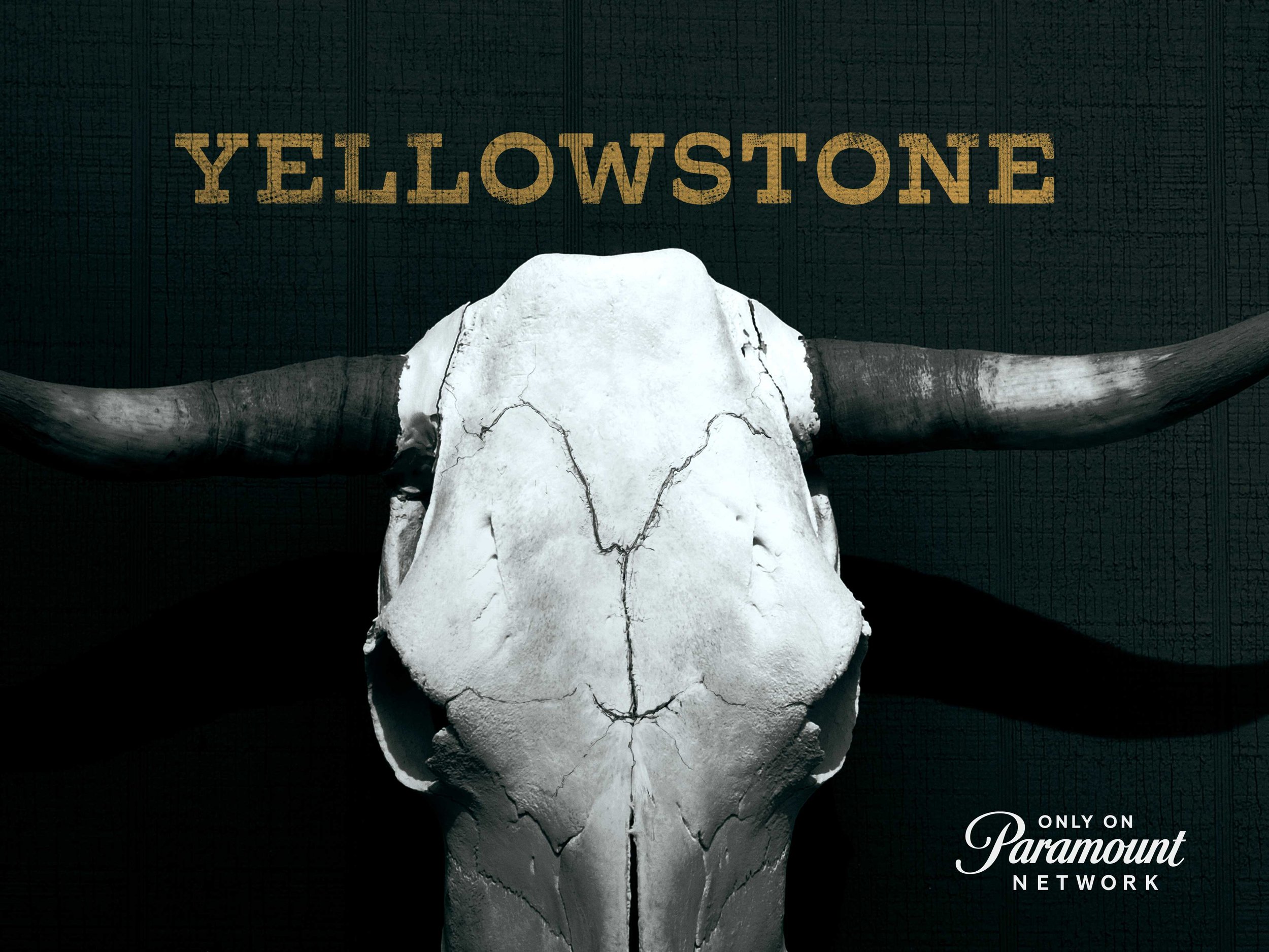 P1042_YELLOWSTONE-TEASE_4X3_R01_JD_C07.jpg