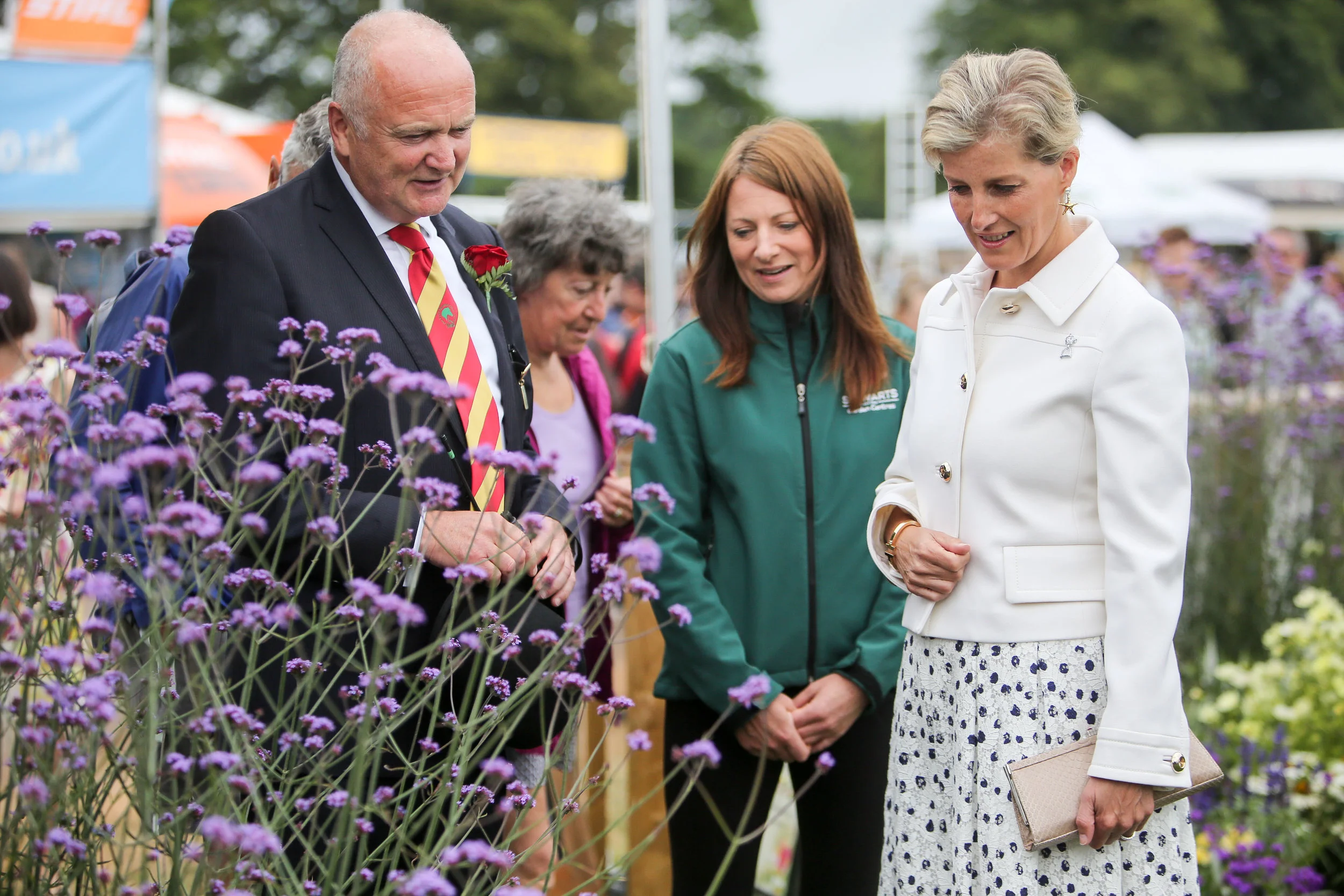 Sophie, Countess of Wessex visits the New Forest Show 2016.