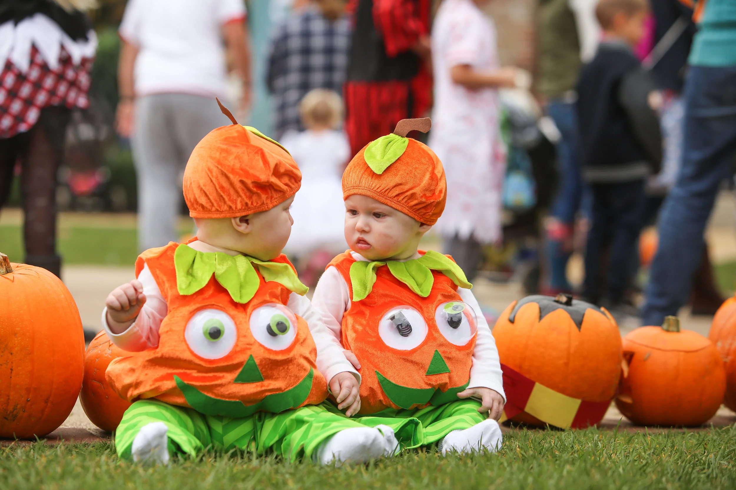 Upton Country Park Pumpkin Parade, 2016.