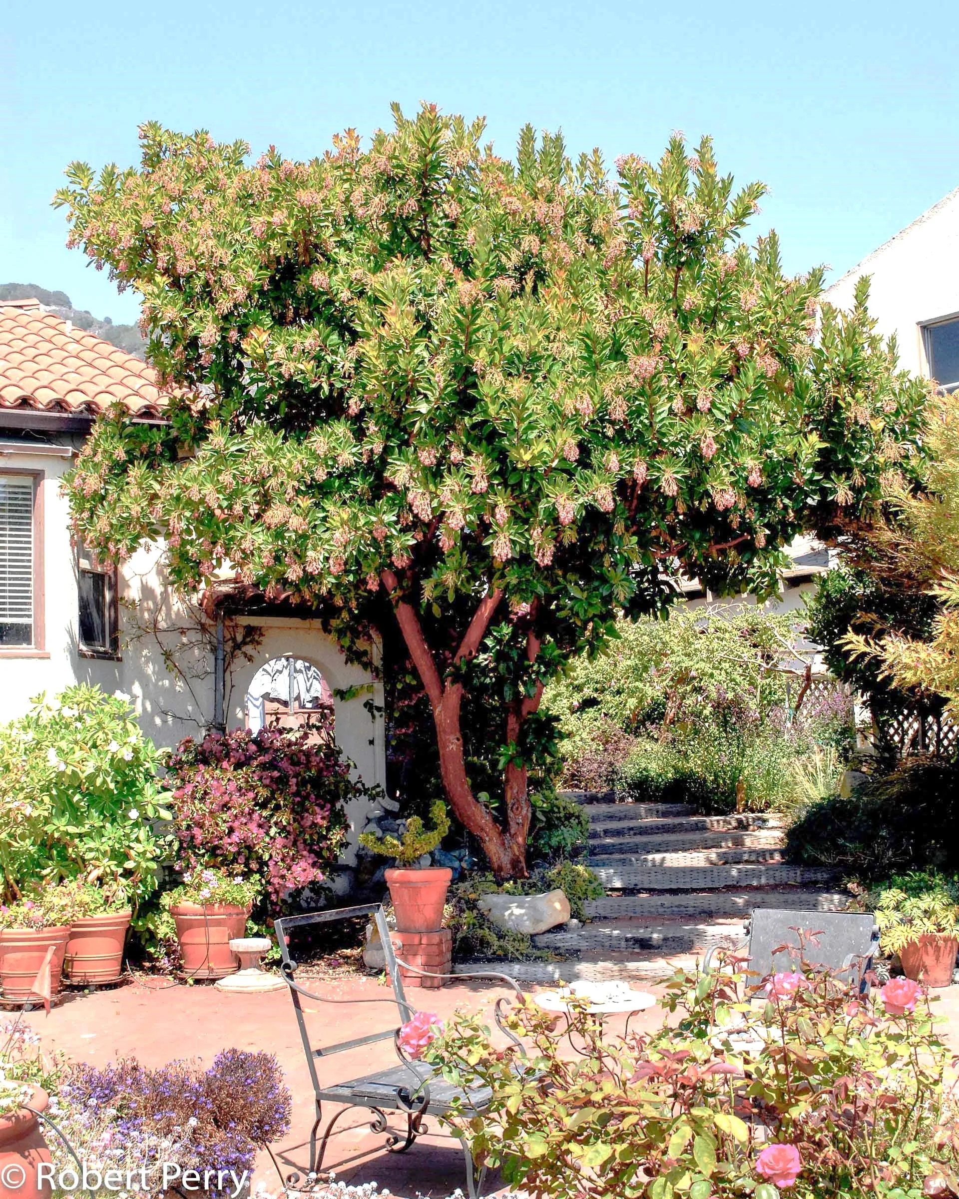 Arbutus-Marina-1-of-7.jpg