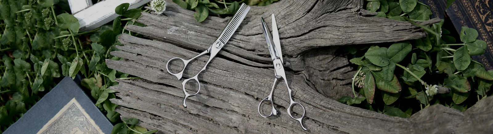 Scissors — BMAC USA - HIGH QUALITY PROFESSIONAL SCISSORS AND 