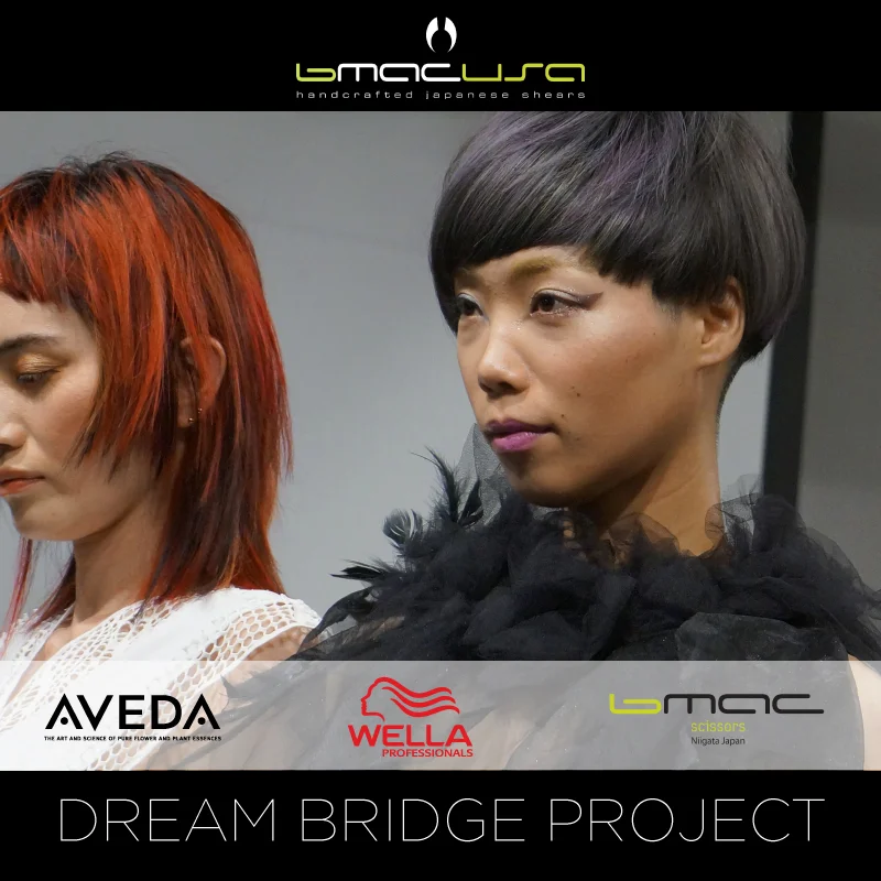 Dream-Bridge-Project-Video-1.jpg