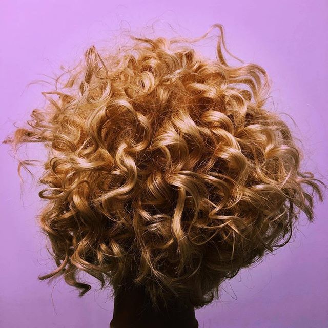 #Repost @dbhaireducator CURLS CURLS CULRS 😍
-
#curls#curlyhair #shortcurlyhair #shorthair#haircut#hair#haare#crafthairdresser#knowledge #paulmitchell #paulmitchellde #paulmitchellus #openminded #hairdesign #hairdo#hairbrained_official #hairnerd#geom