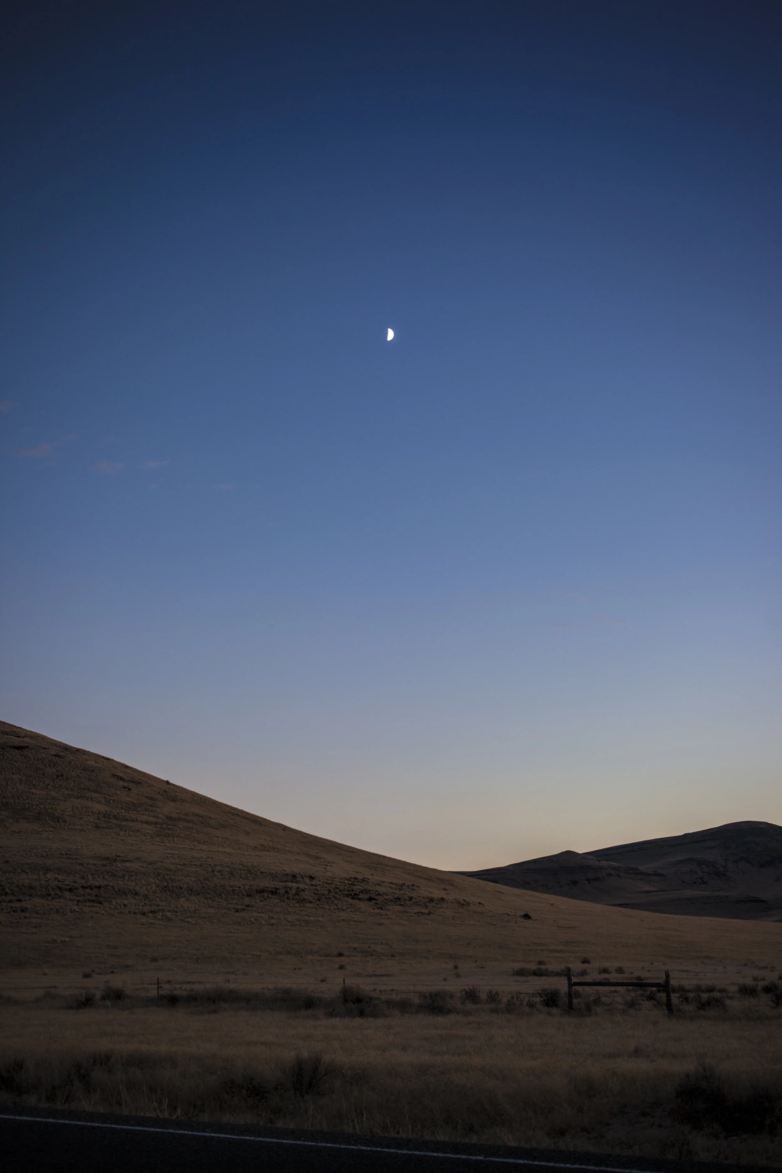 DESERT1.jpg