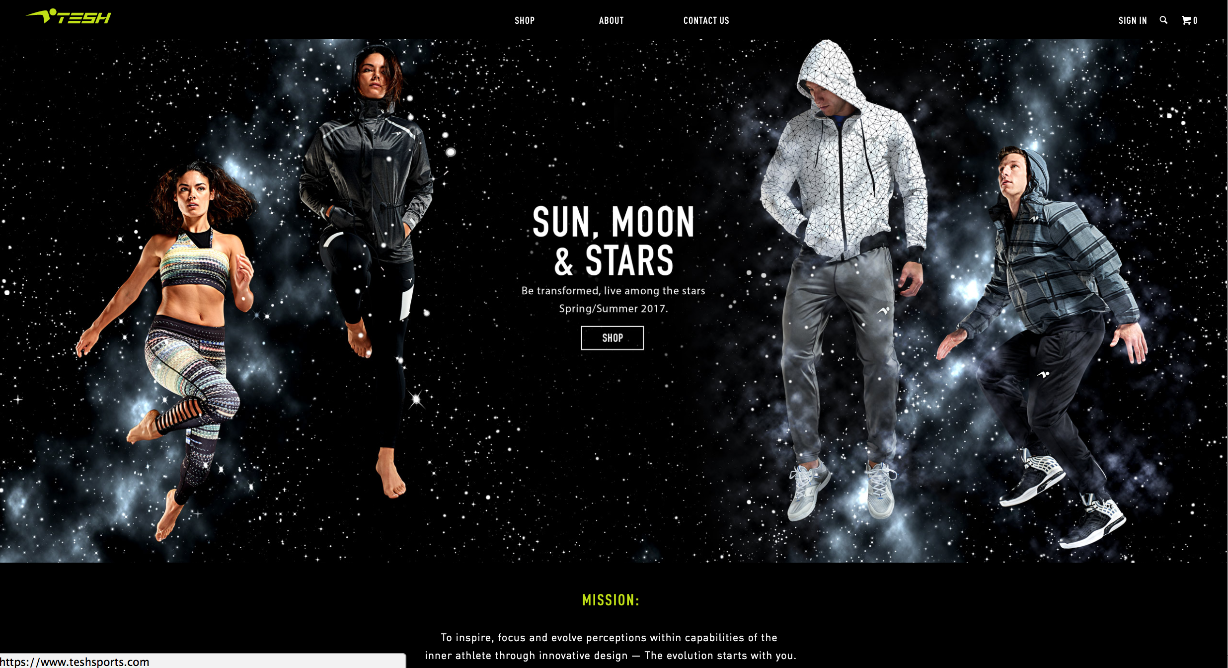 Screen Shot 2016-10-16 at 12.39.32 PM.png