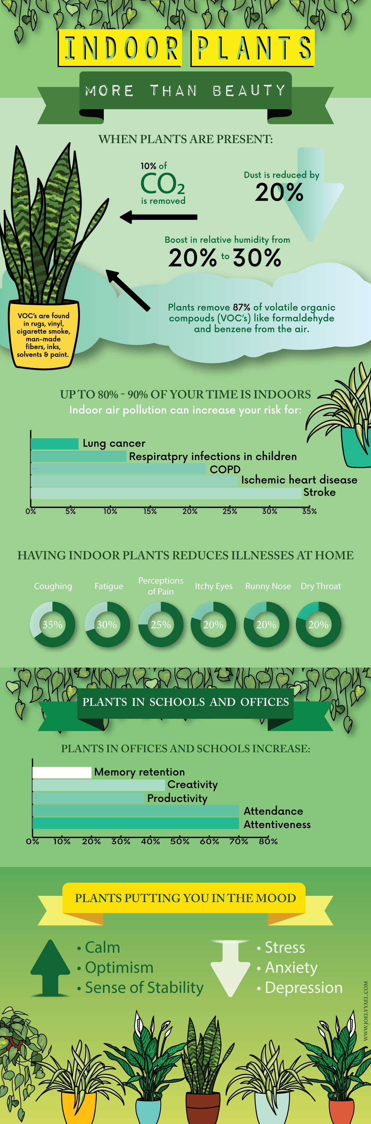 indoor plant infographic plant-03.png