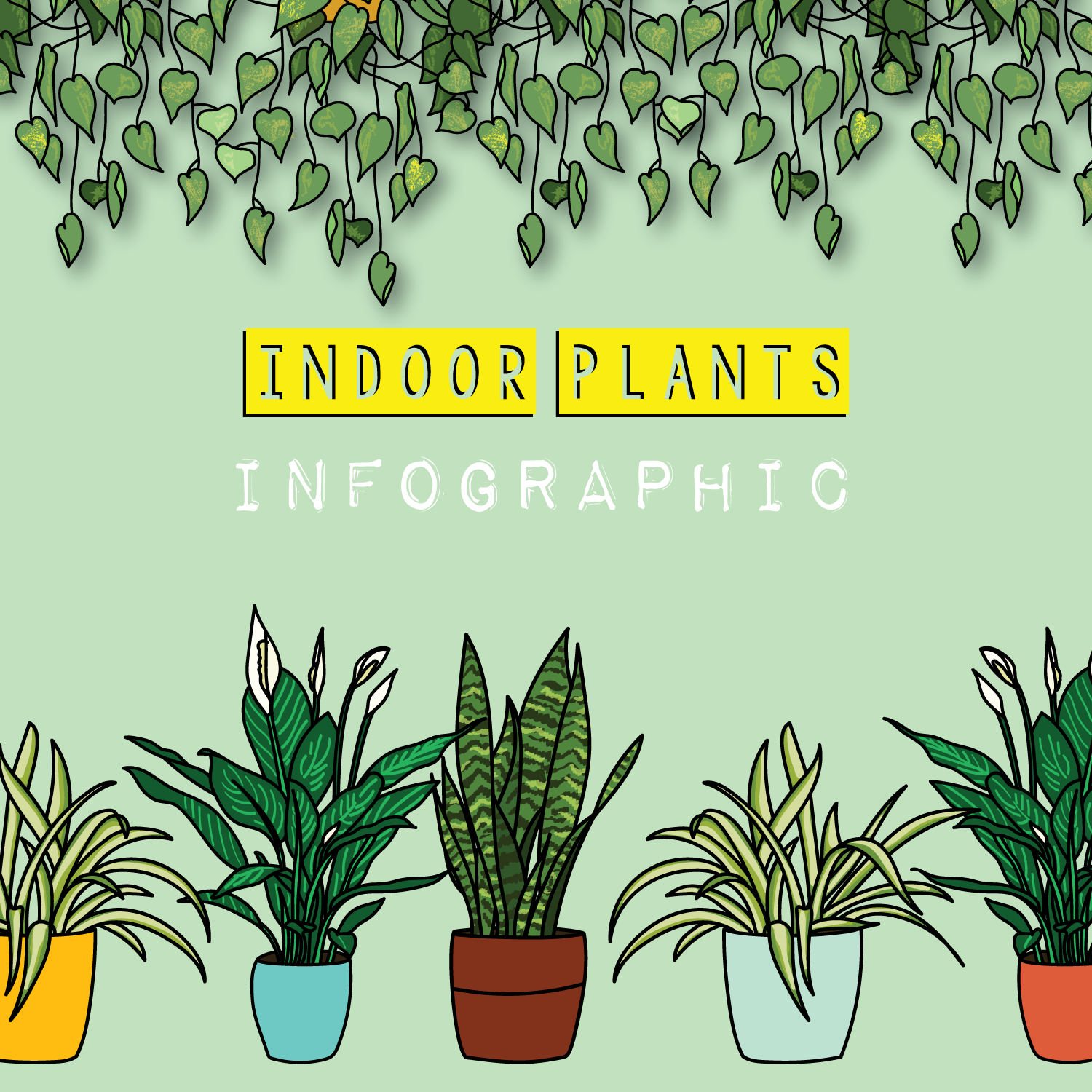 INDOOR PLANTINFOGRAPHIC