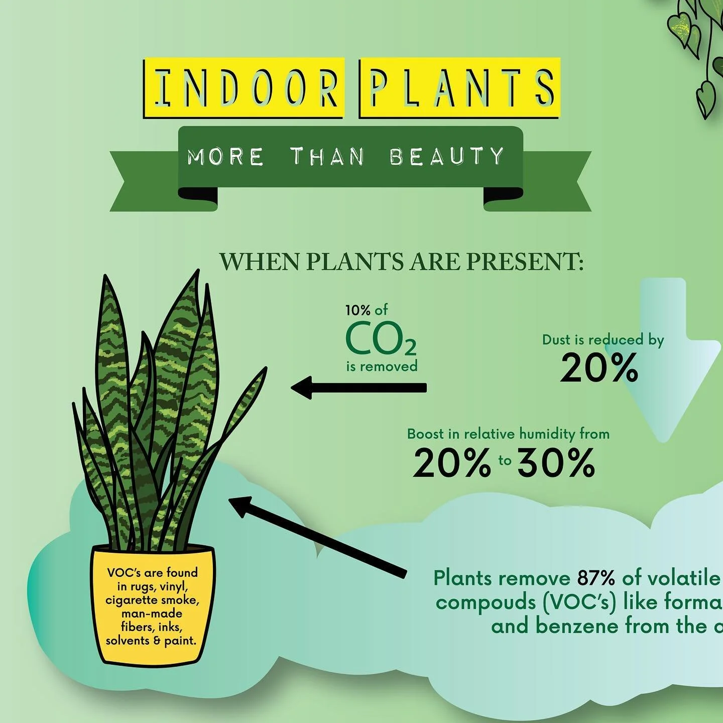 My plant population is getting slightly out of control but turns out my obsession is beneficial?  For anyone else that needs a little validation for their indoor plants (or the reason to get started!! Highly recommend) take a lil gander 👌